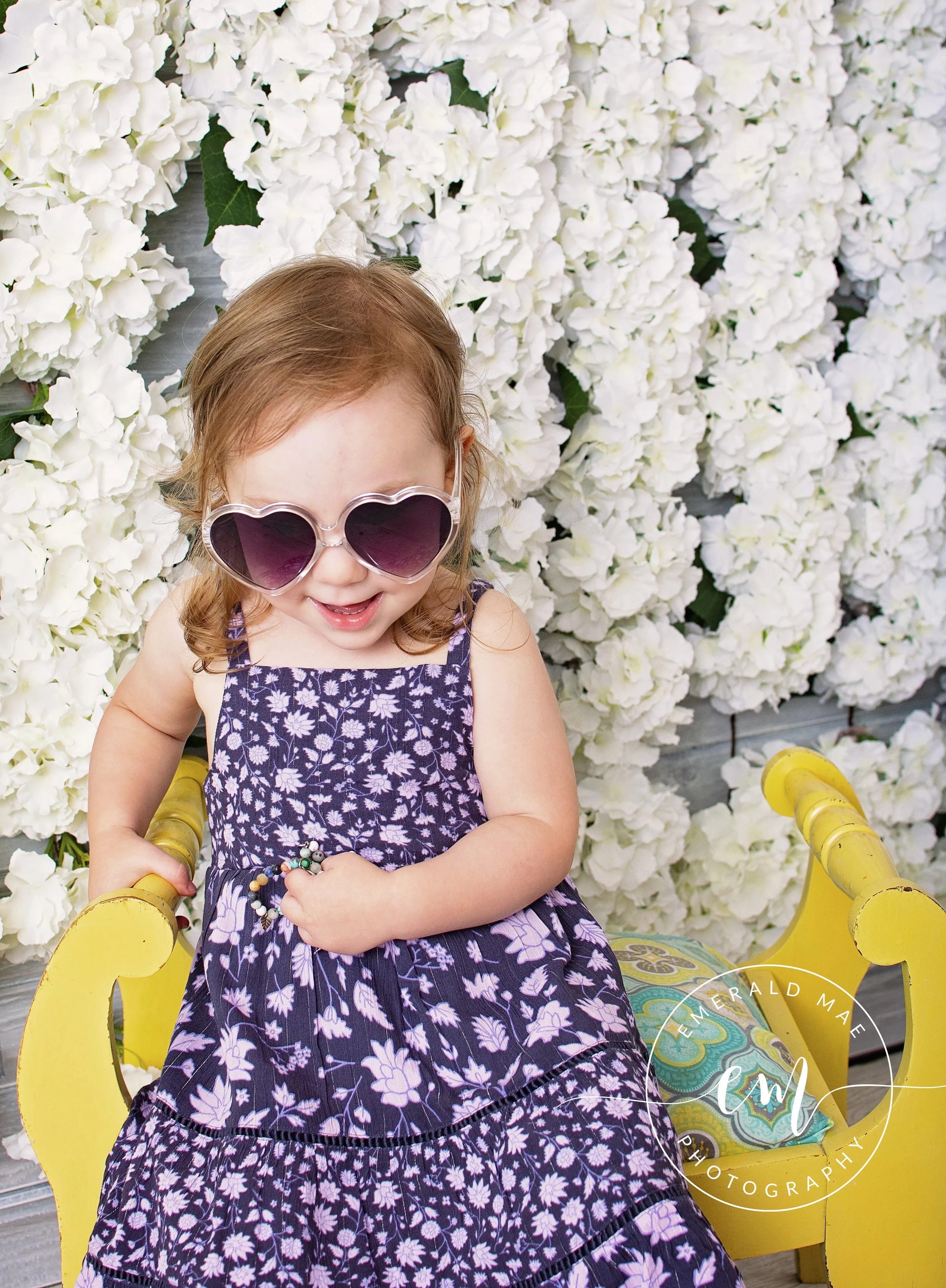 DSC_8253 wem.jpg (Copy)