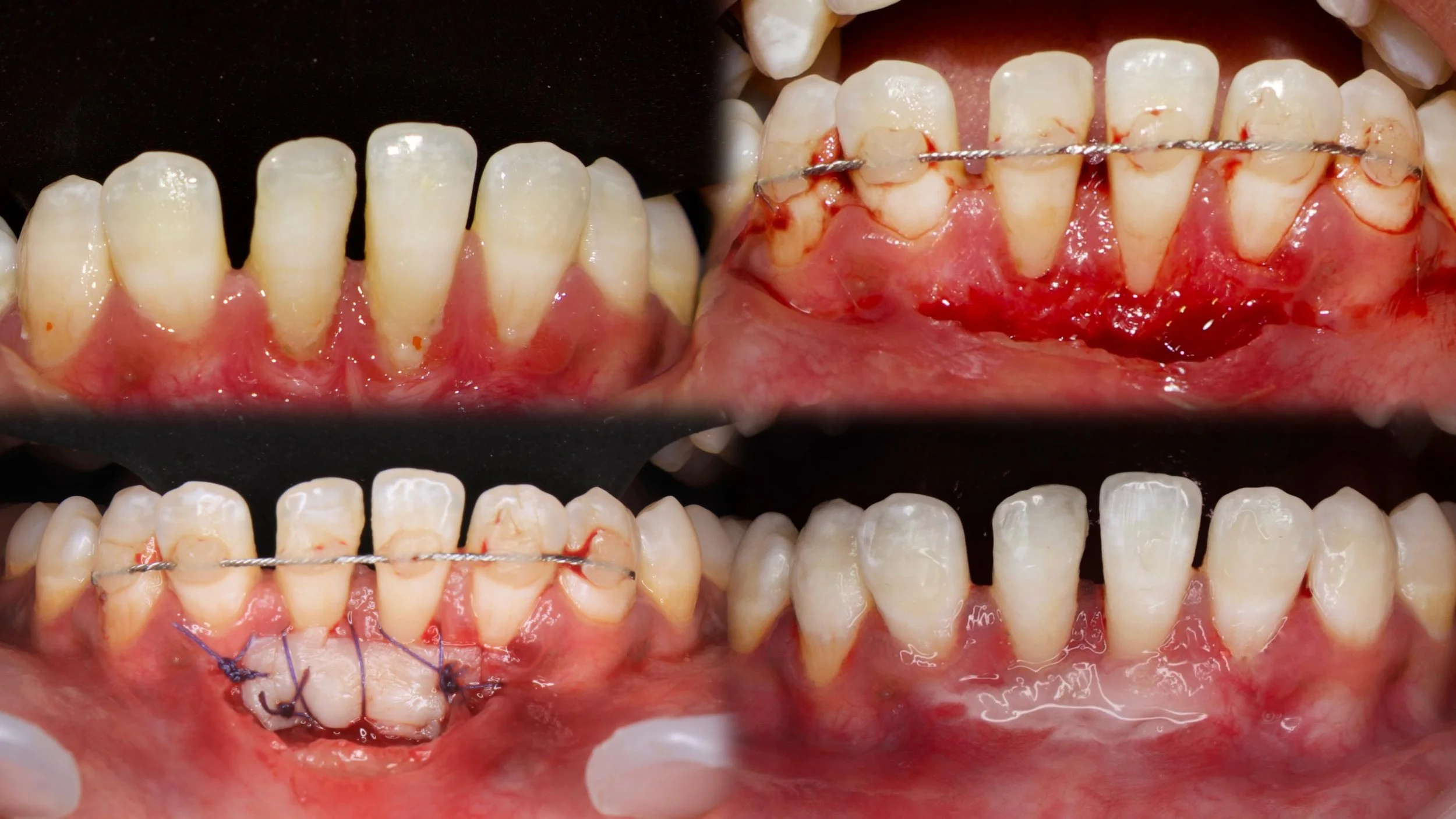 WhatsApp Image 2026-04-10 at 16.55.41.jpeg