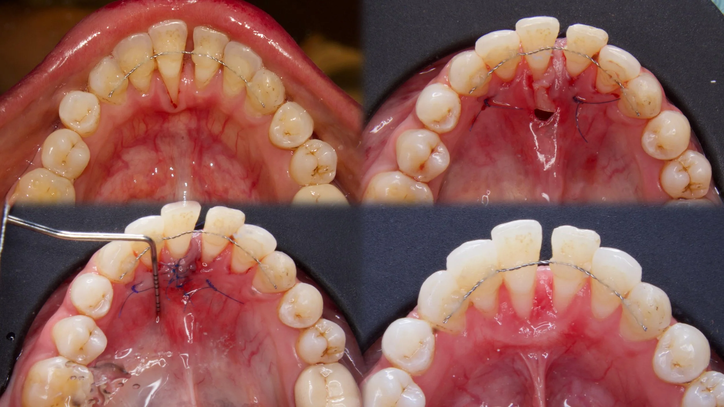 WhatsApp Image 2026-04-10 at 16.55.41 (1).jpeg