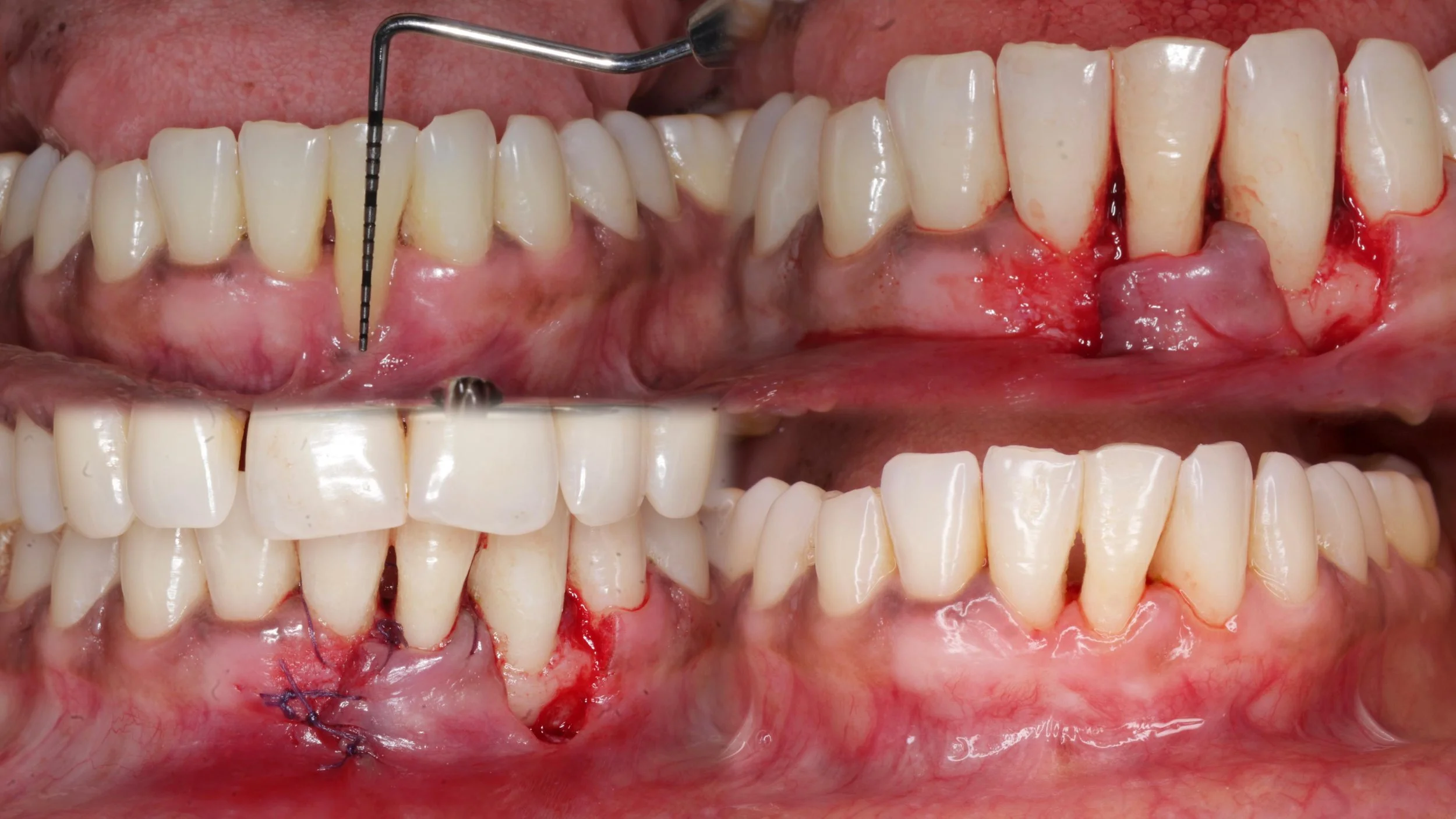 WhatsApp Image 2026-04-10 at 16.55.40.jpeg