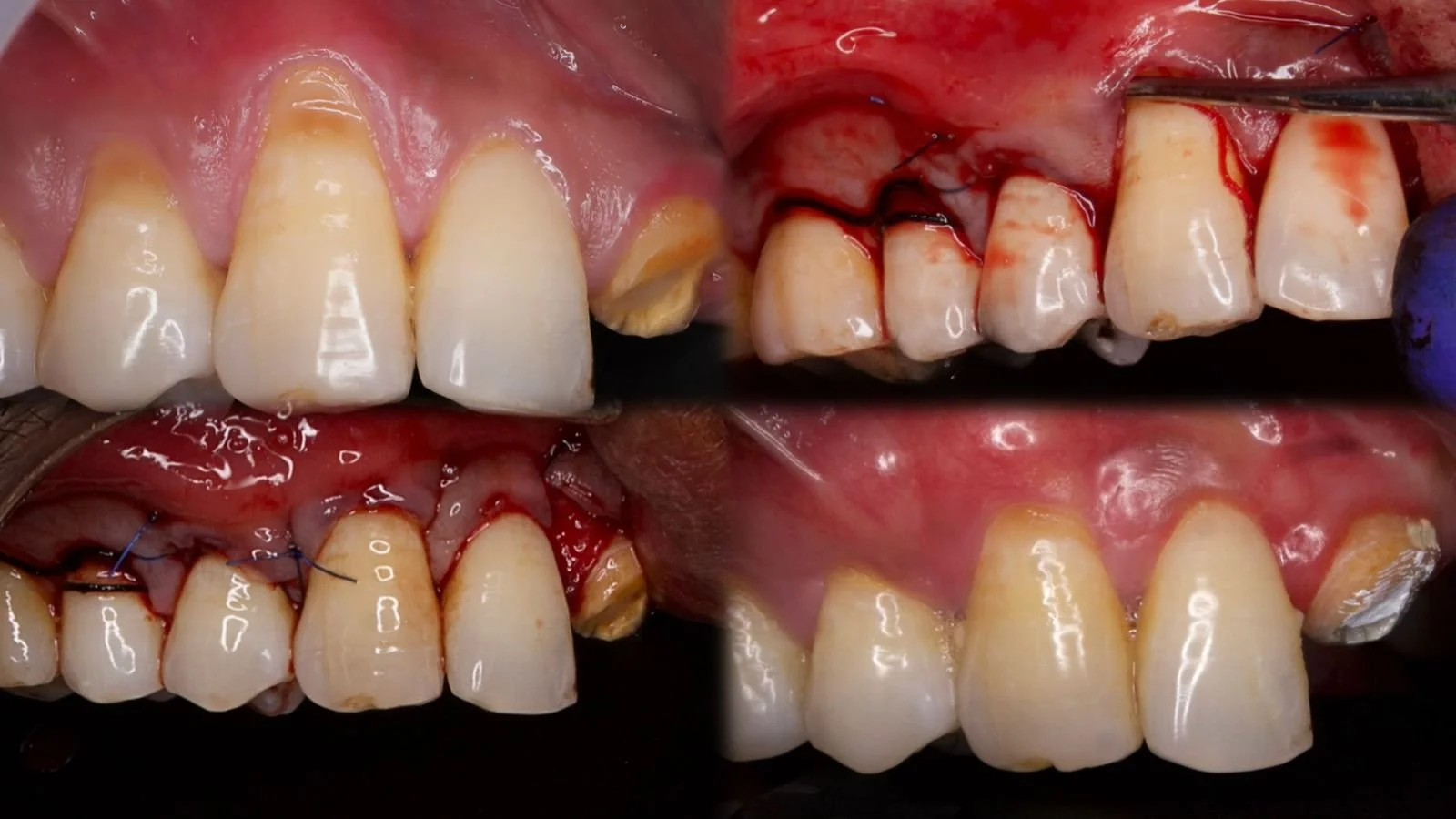 WhatsApp Image 2026-04-10 at 16.55.39.jpeg