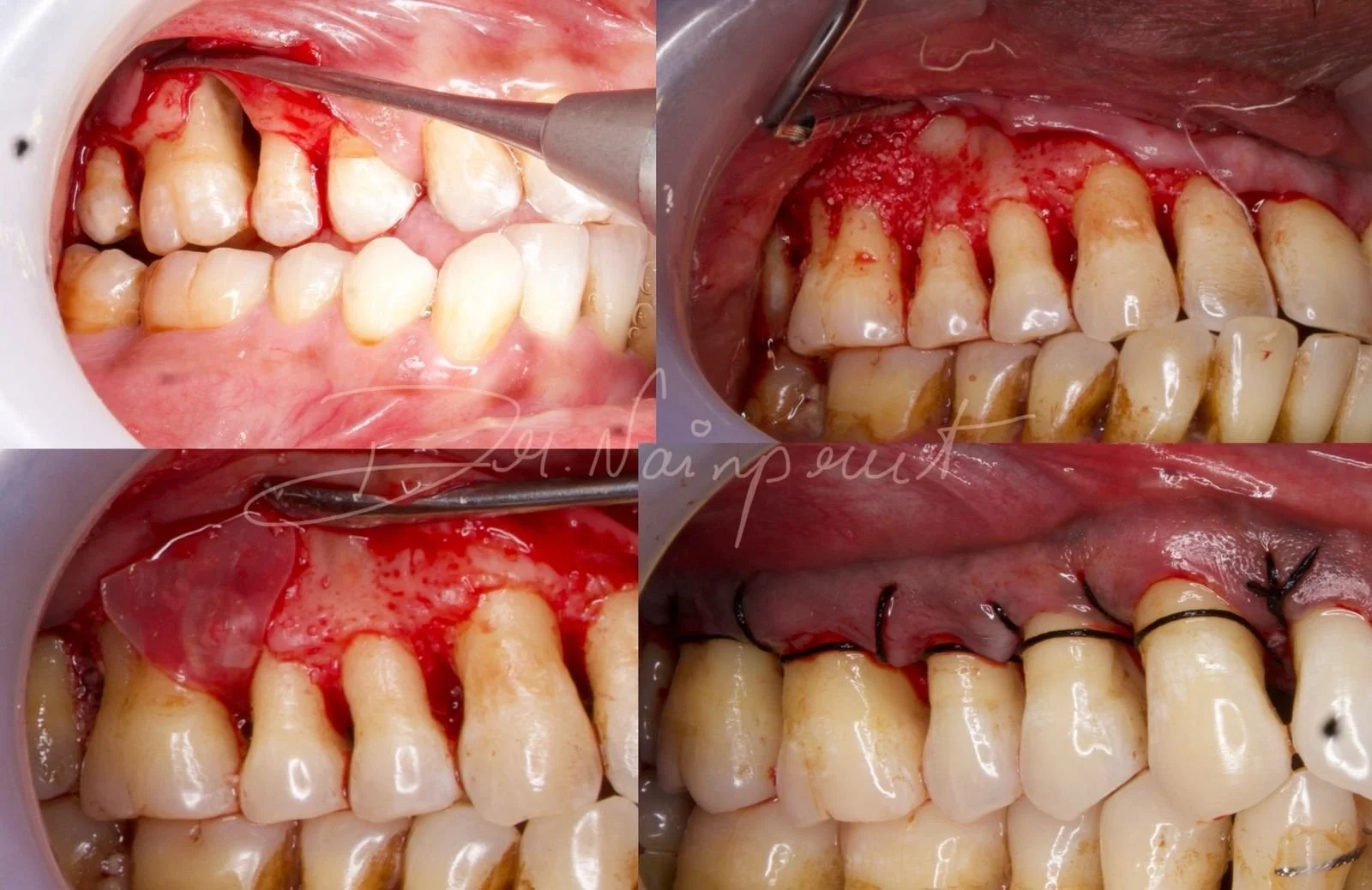 WhatsApp Image 2026-03-02 at 21.47.16 (2).jpeg