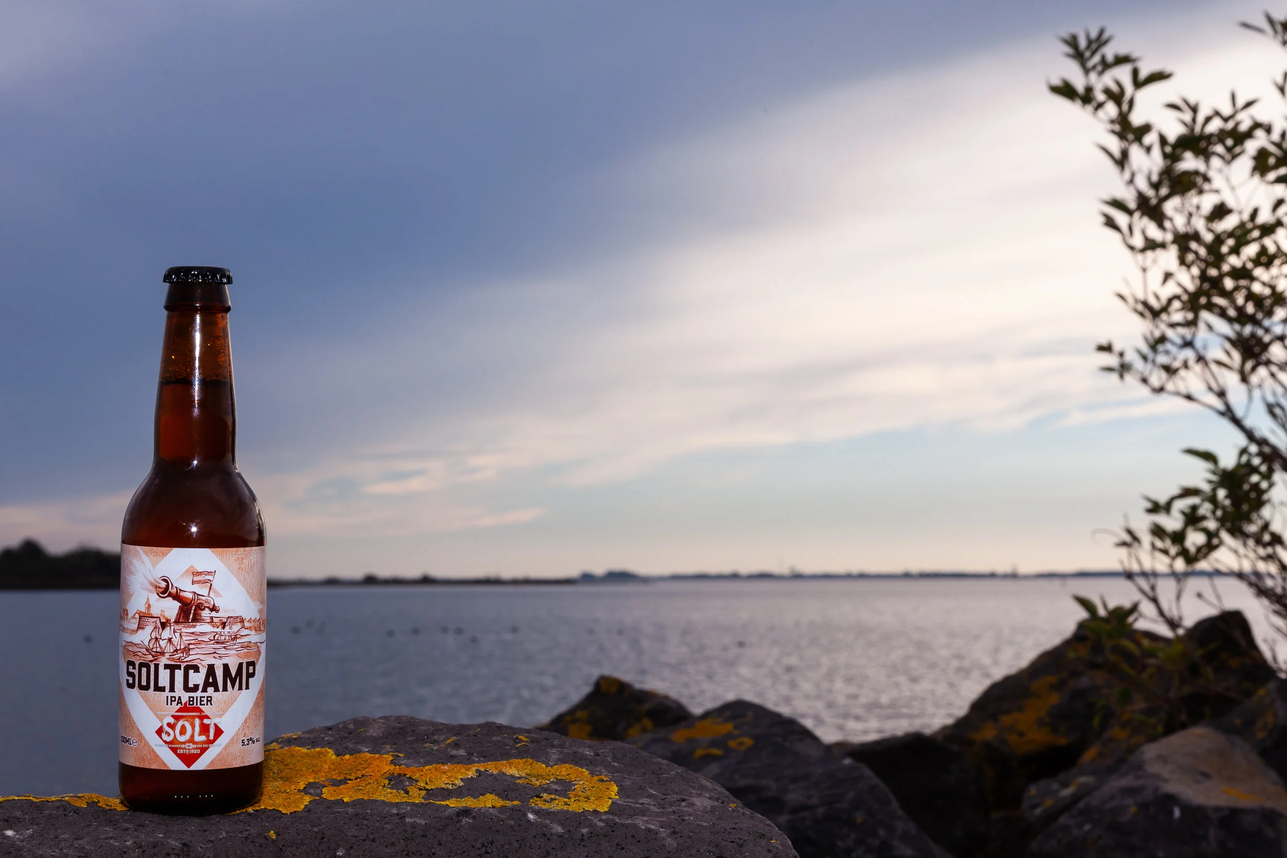 'Soltcamp' IPA (foto: Miedema fotografie )