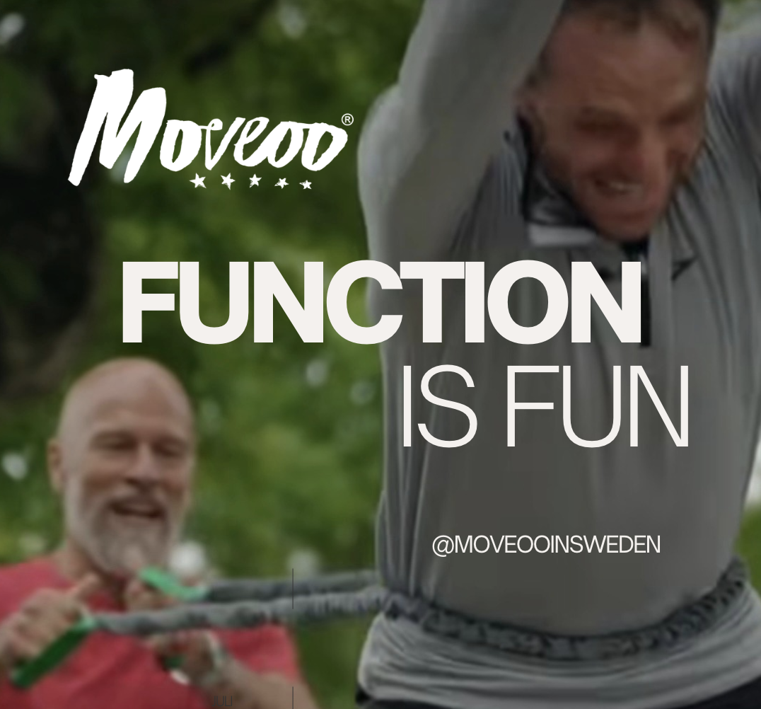 Function is Fun