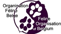 Cat Club Belge WCF