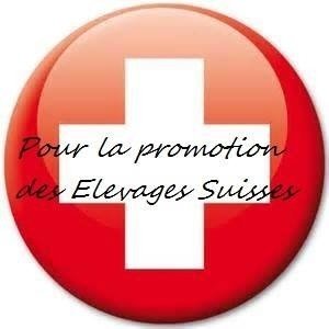 logo+elevage+suisse.jpg