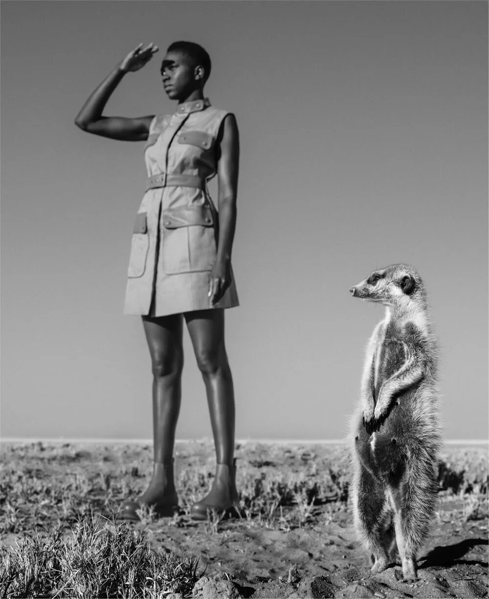 David Yarrow