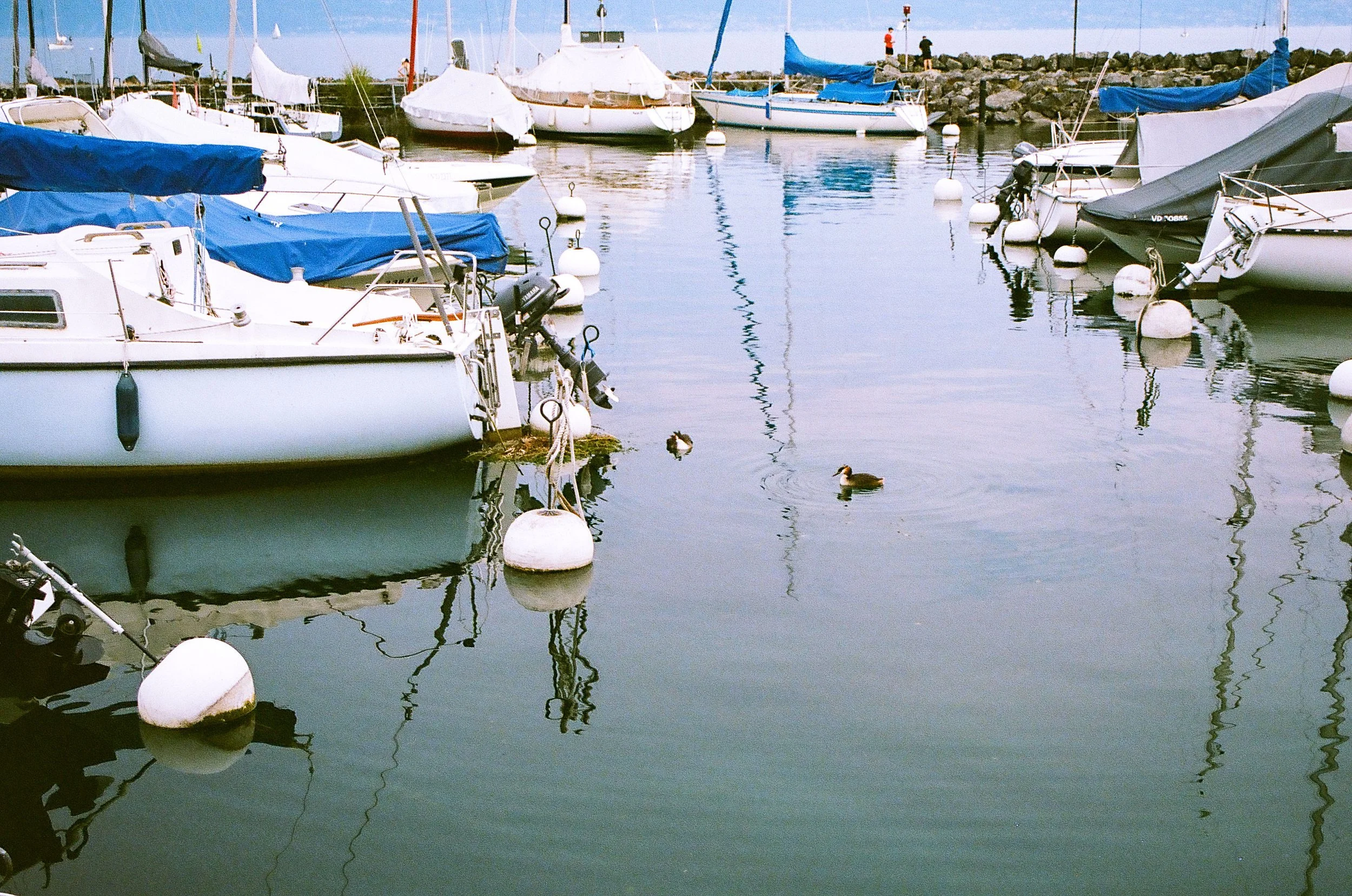 0024_24-2.jpg