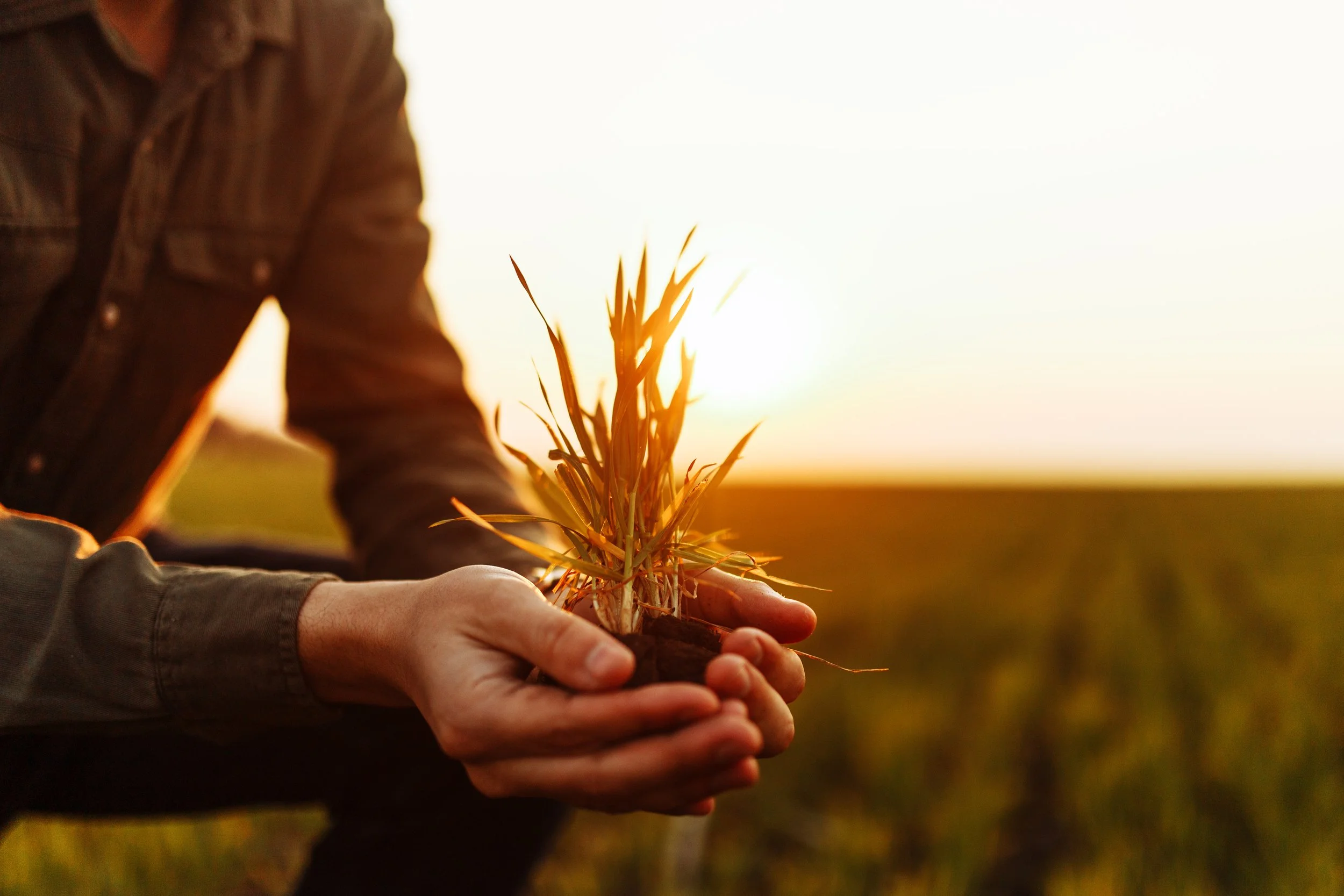 AgSmart Media Release