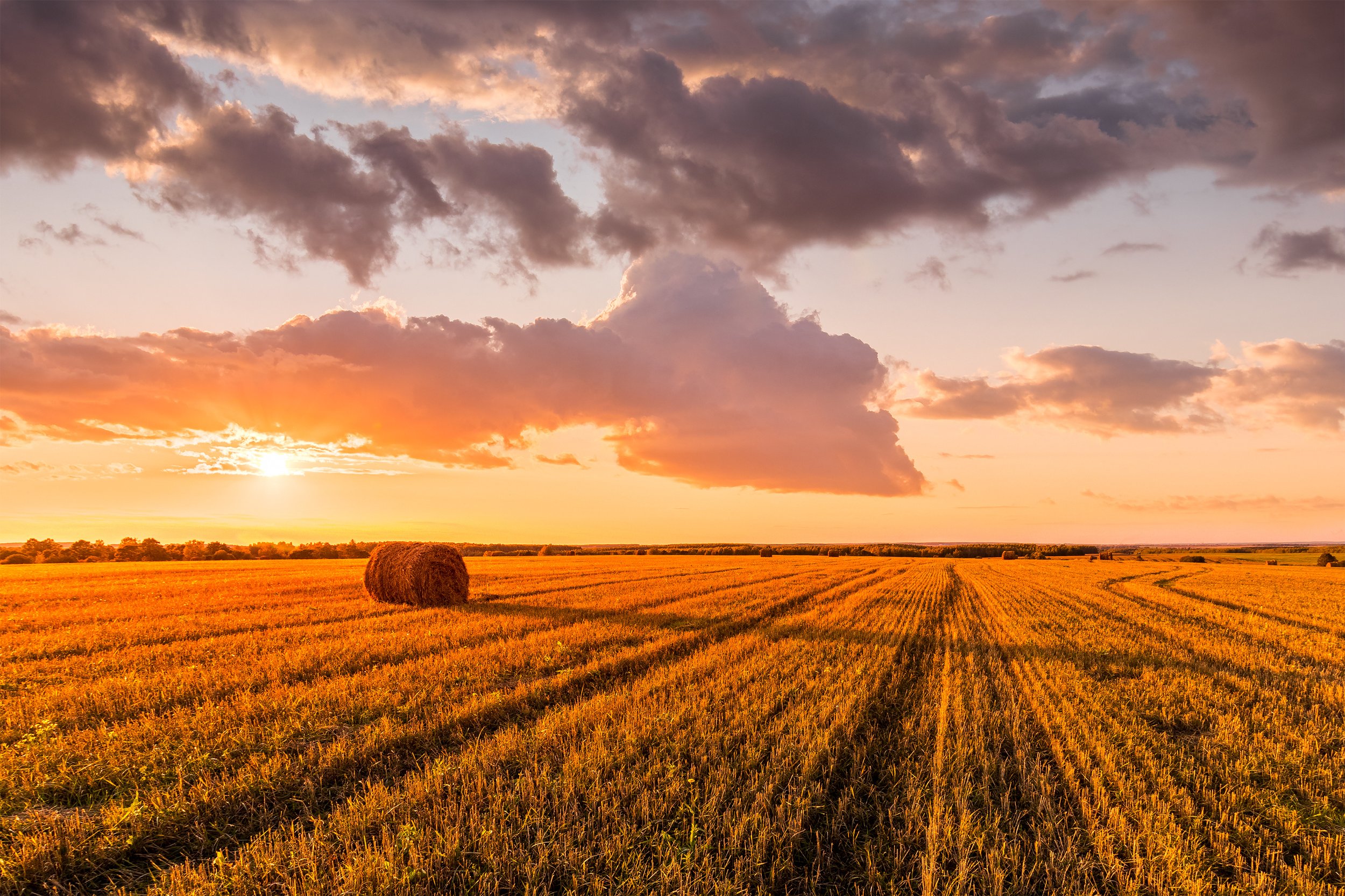 FarmFest Field Days, Toowoomba QLD ACM Rural Events