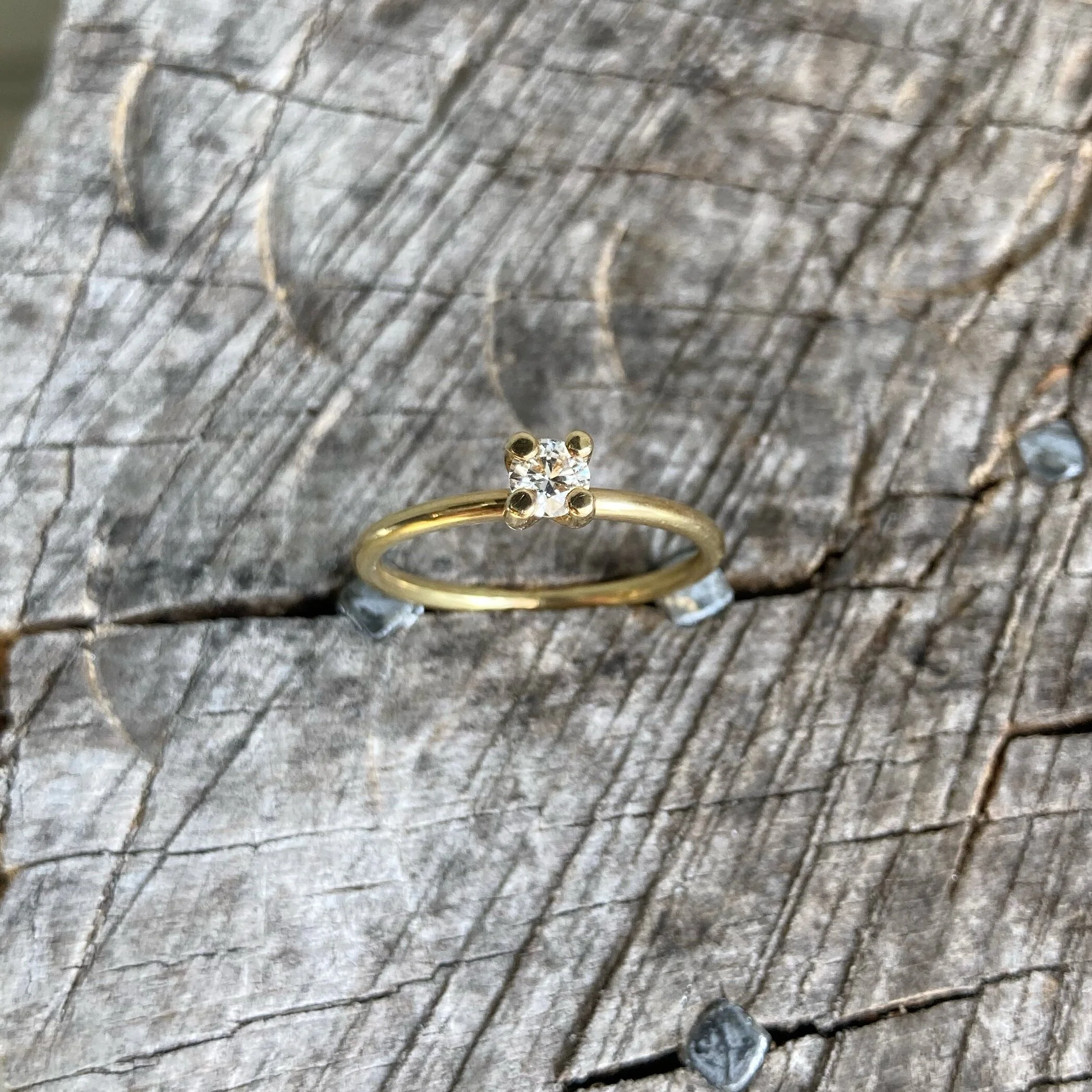 JPEG image-8B01C075E2DD-1.jpeg