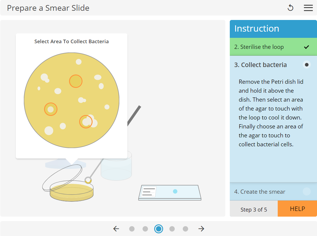 microbiology smear slide learning science screenshot.png
