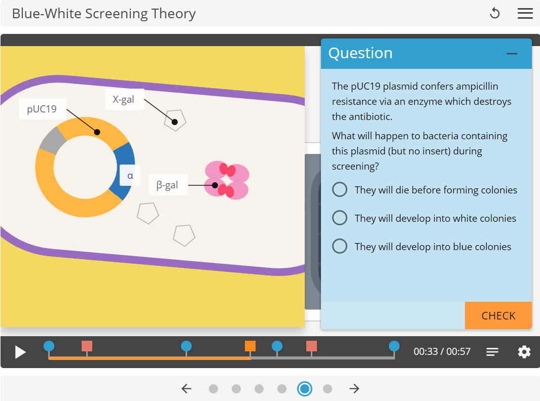 cloning blue-white screening Learning Science screenshot.png