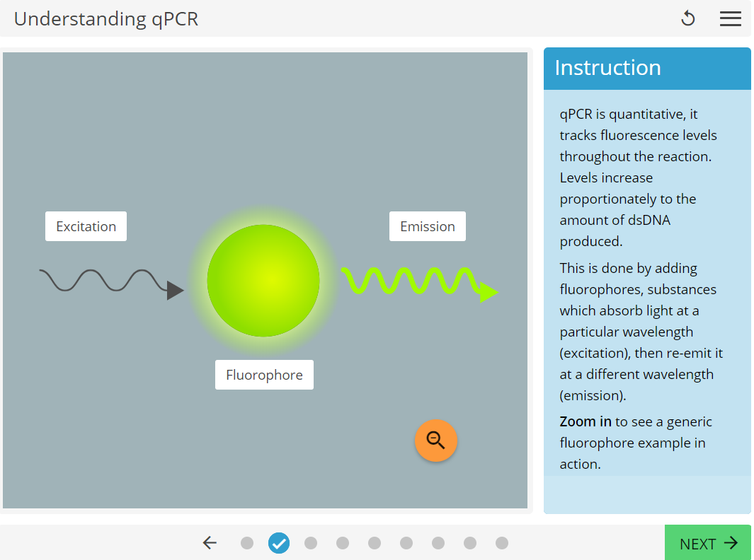 qPCR Learning Science screenshot.png