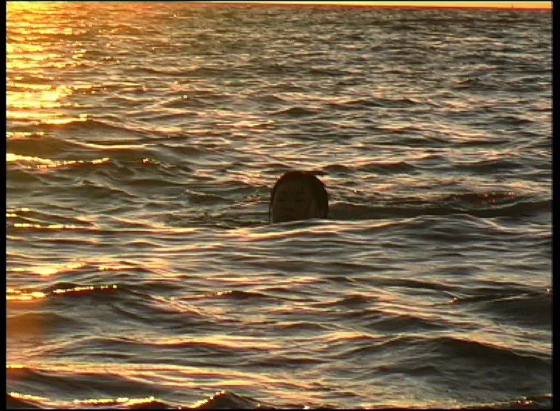  Swimming to shore. 