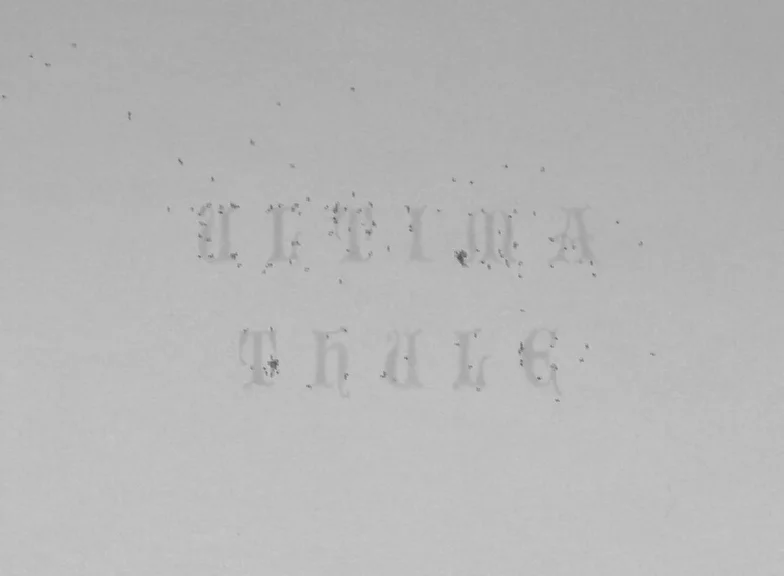  Seen through the lens: Ants swarming and making visible the words ’Ultima Thule’, written in honey. 