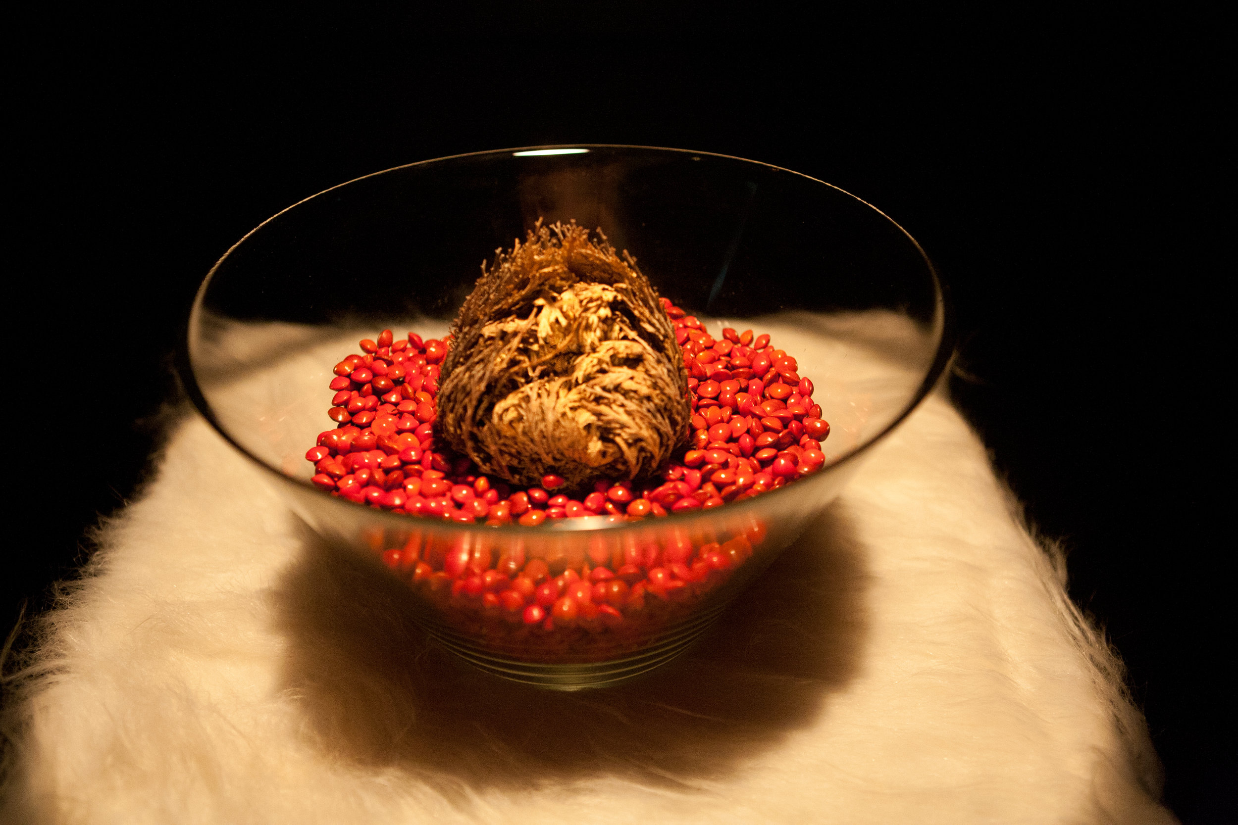 TNH_111206_9283.jpg