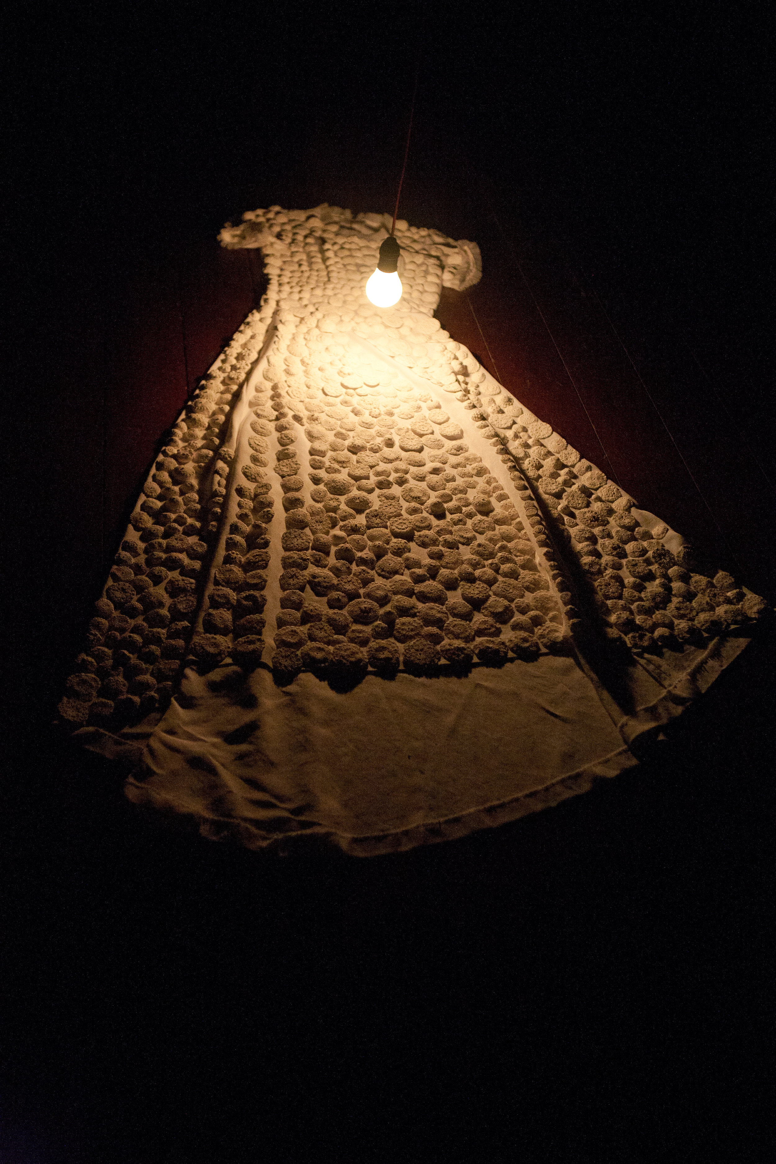 TNH_111206_9293.jpg