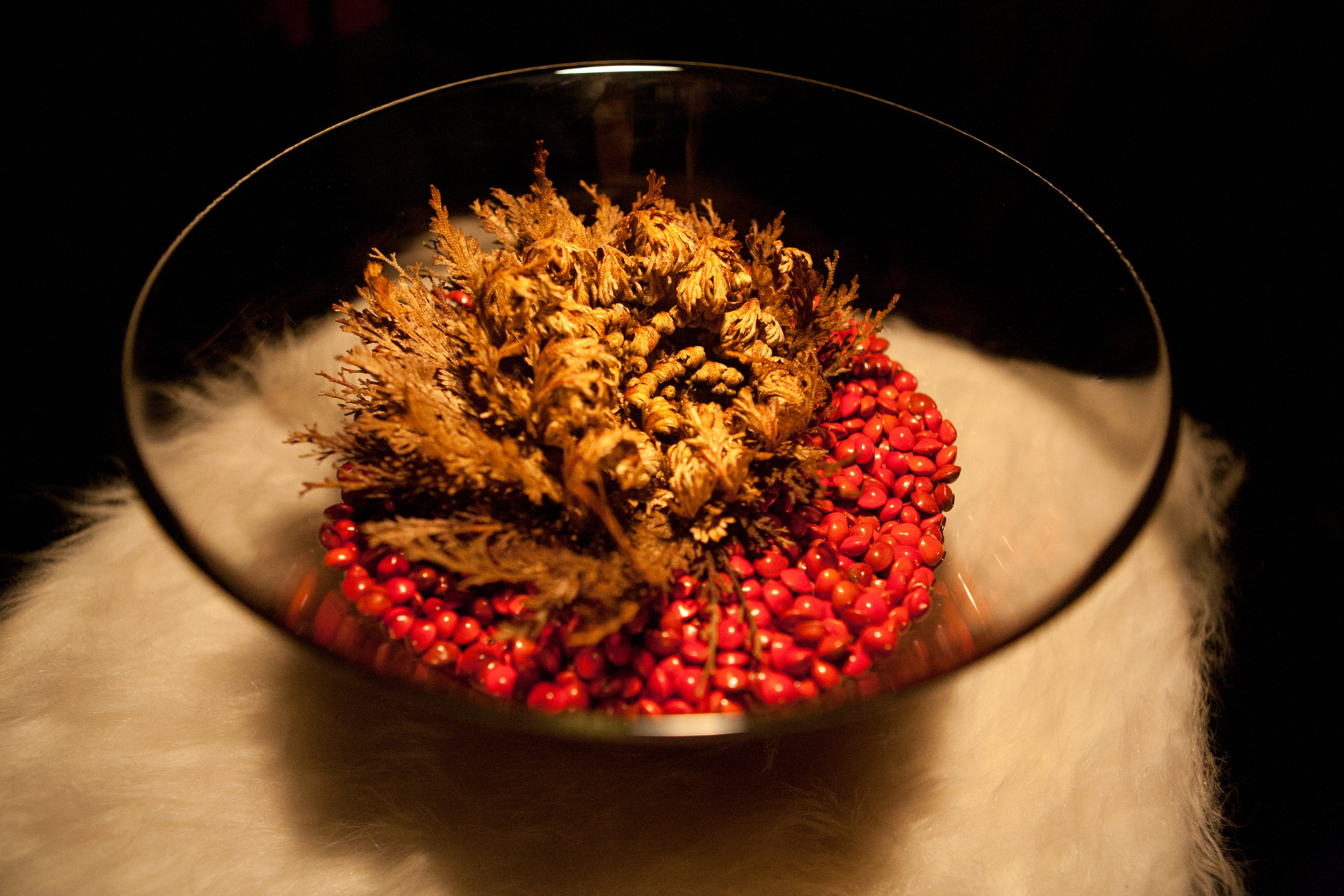TNH_111206_9333.jpg
