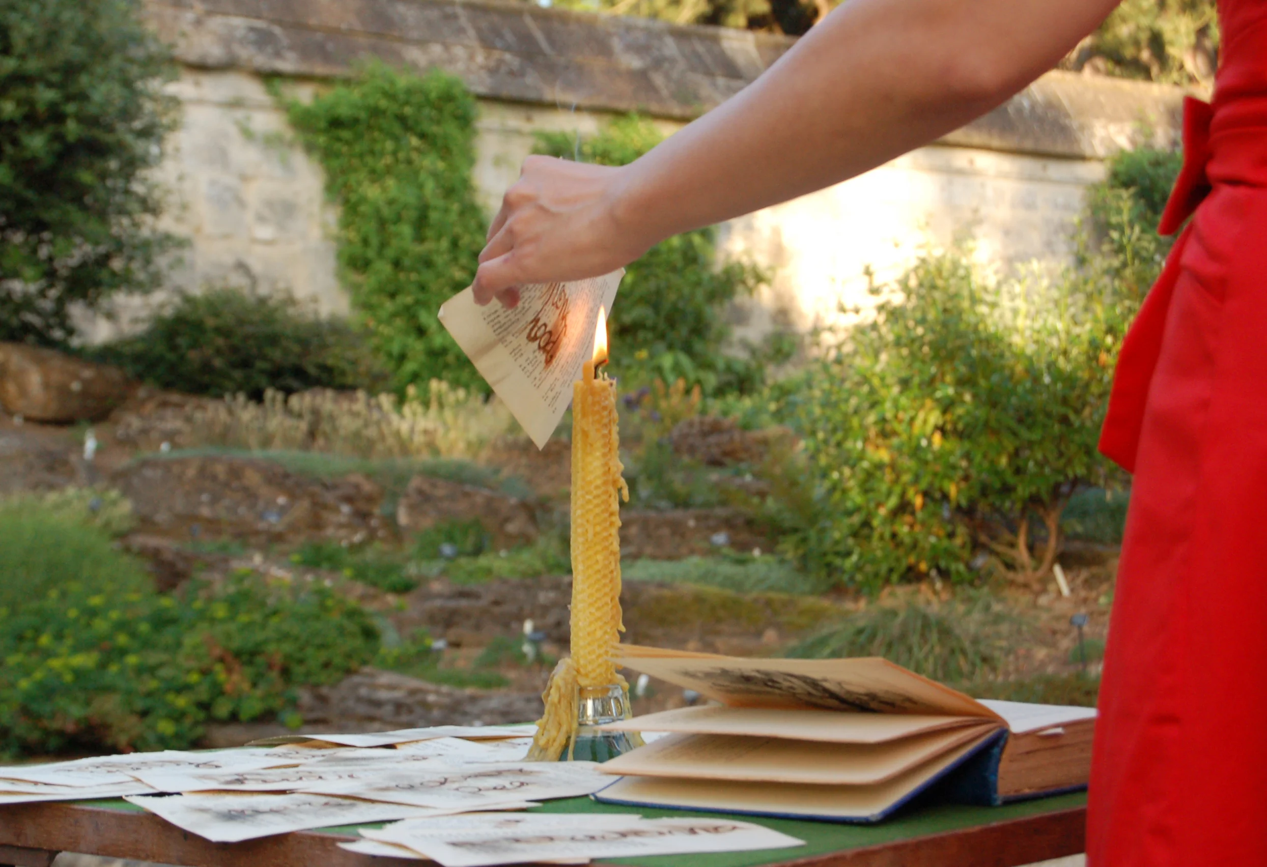 5. burn from left 3.JPG