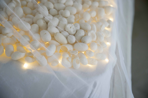 2. silk bed CG.png