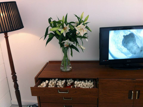 7. TV lilies drawer.png