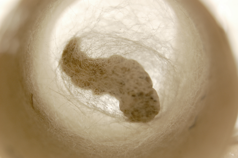8. silk.png