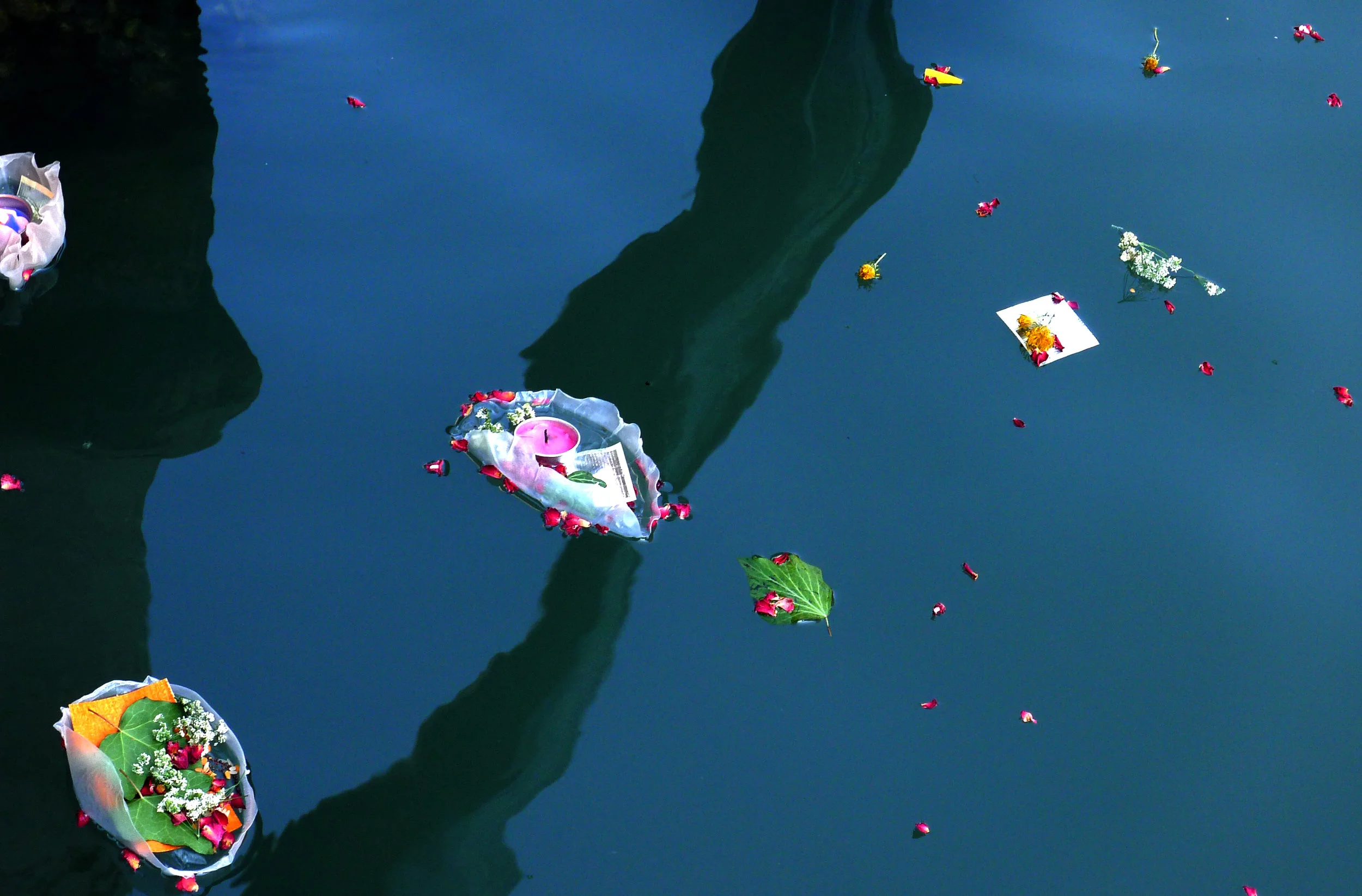 krathong launch 8.jpg