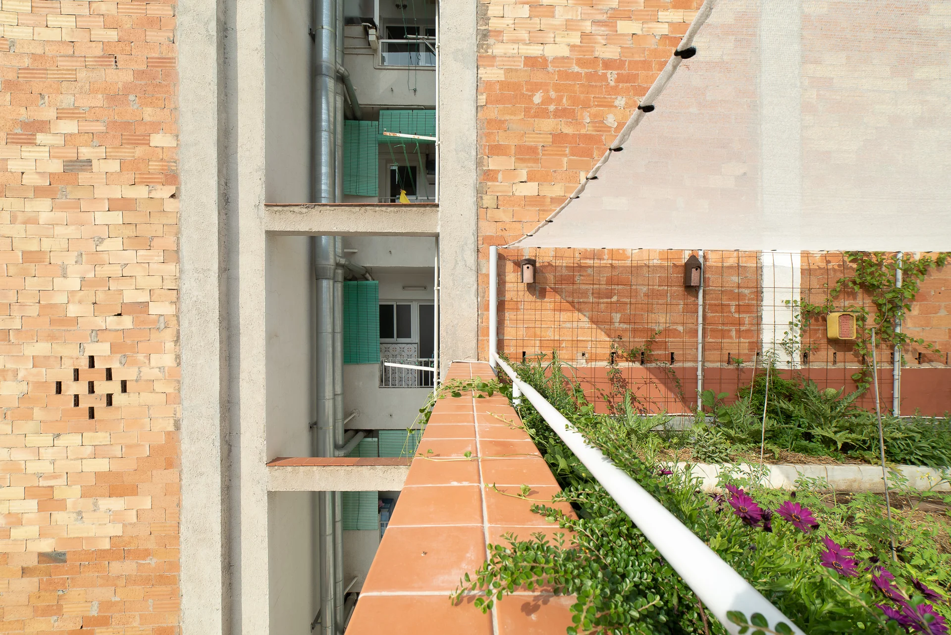 Web - 06 - _ARQ8456.jpg