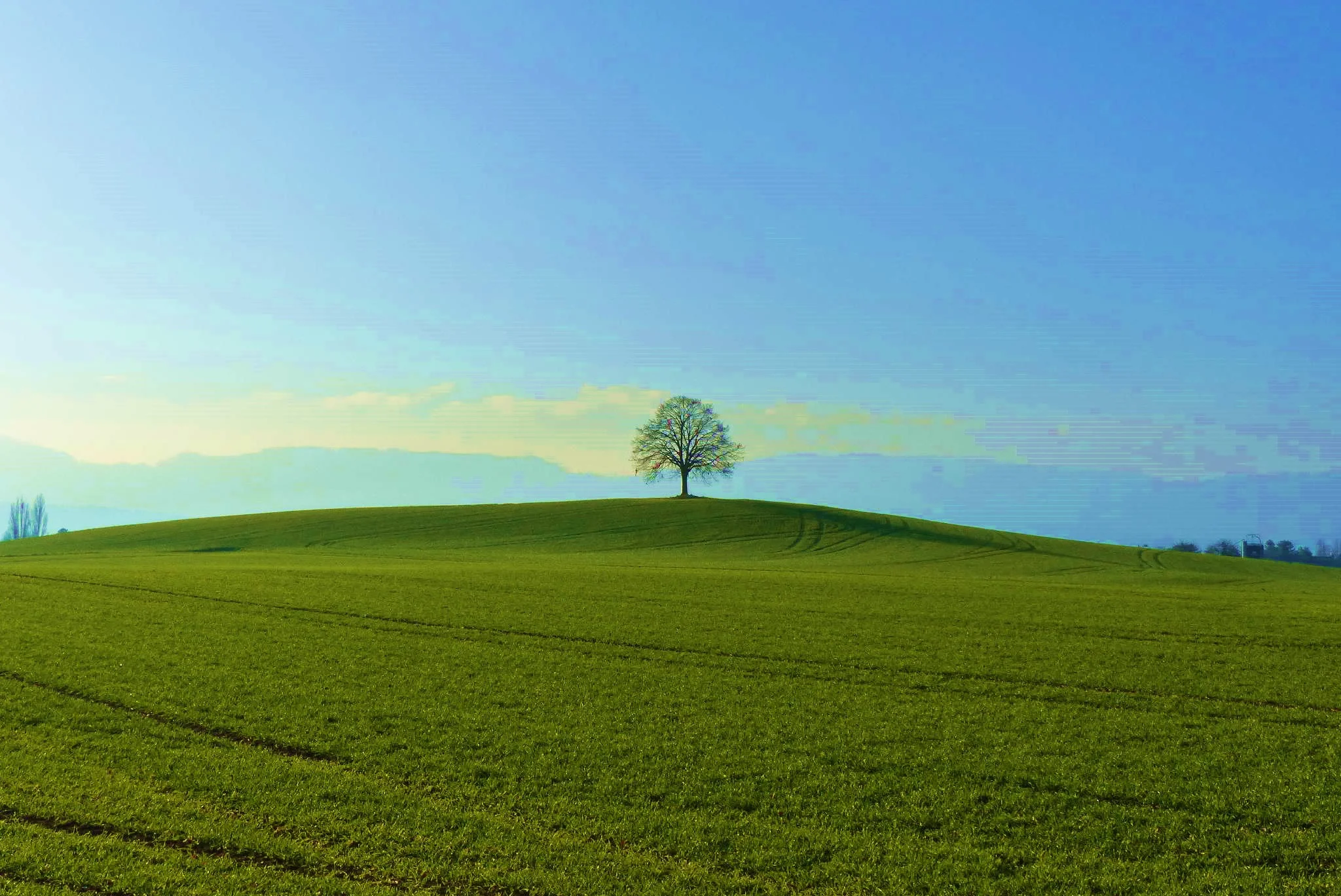 Your personal Skype coaching to get happy and better in life. I am Wolfgang A. Haas – your man for EFT development. Have a ball!