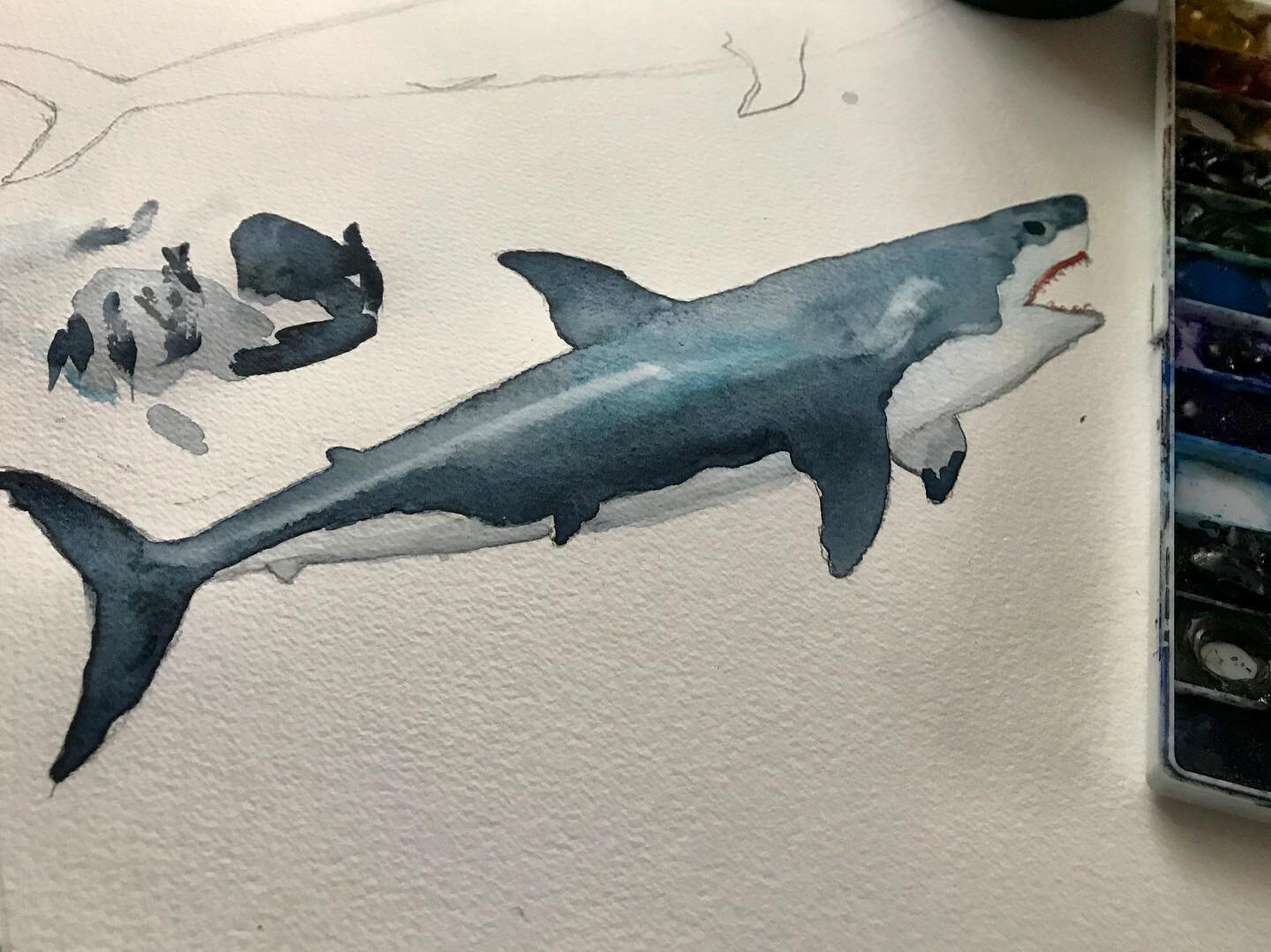 It&rsquo;s summer in Massachusetts. Inspiration for my next kinetic painting. 
.
.
.
.
#shark #jaws #greatwhitesharks #paperart #paperartist #papersculpture #papersculptureartist #papercraft #papercut #automata #kineticart #kineticsculpture #handcut 