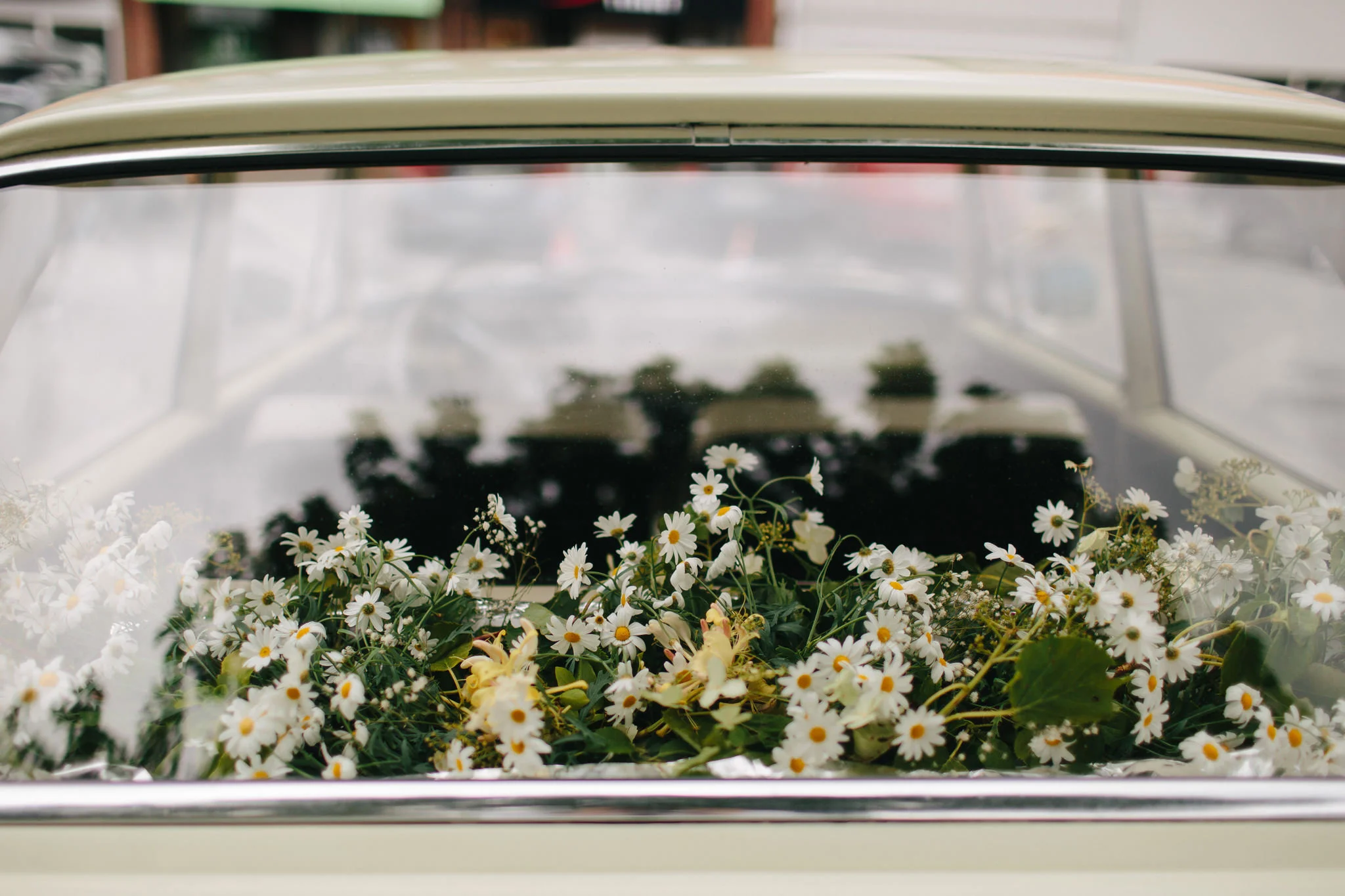 Plukk blomstene selv! Foto: Åsmund Holien Mo