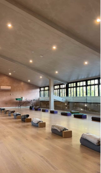 Ahimsa Yoga Summer Workshop