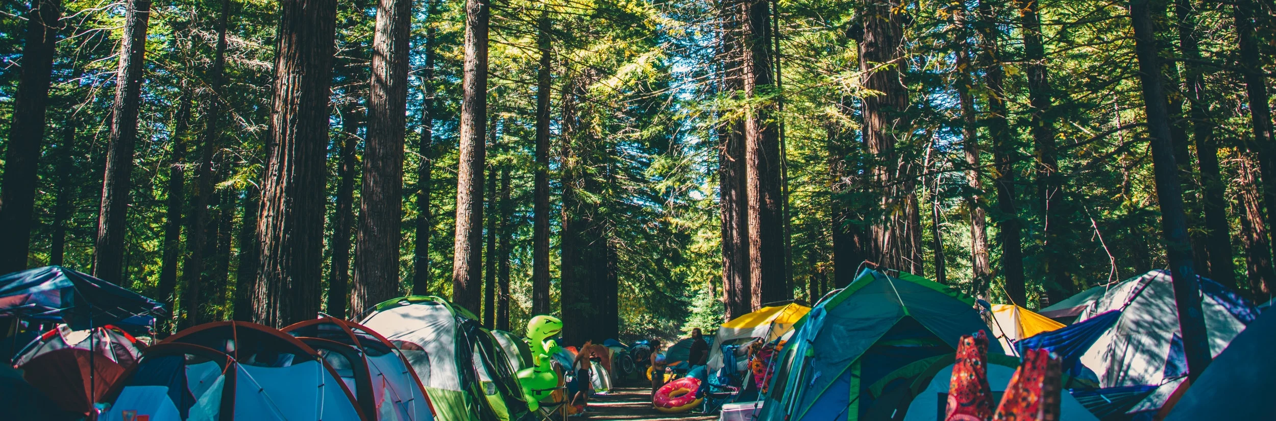 redwood-camping-festival.jpg
