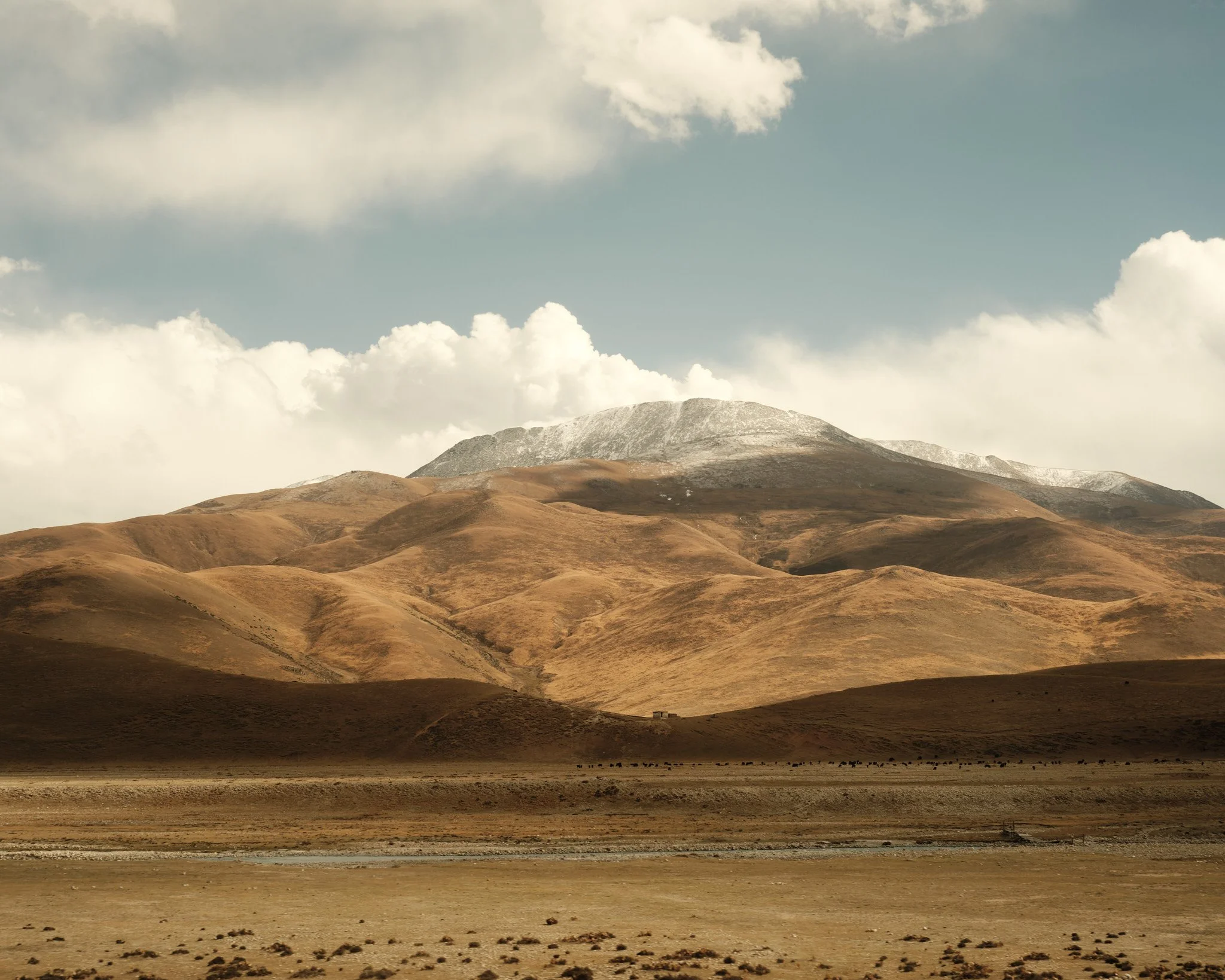 16 — A Train Ride Through China, 2023.jpg