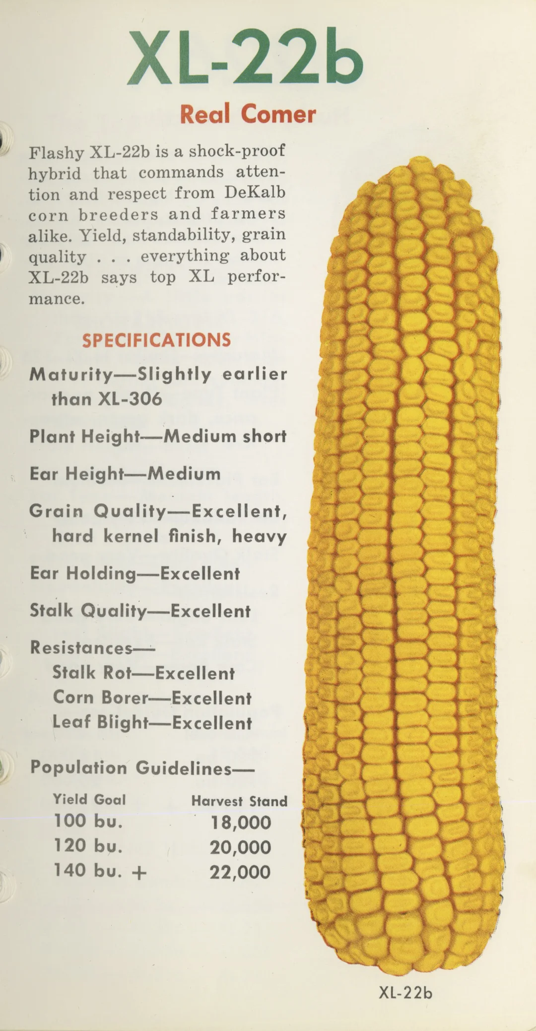 1548-10.jpg