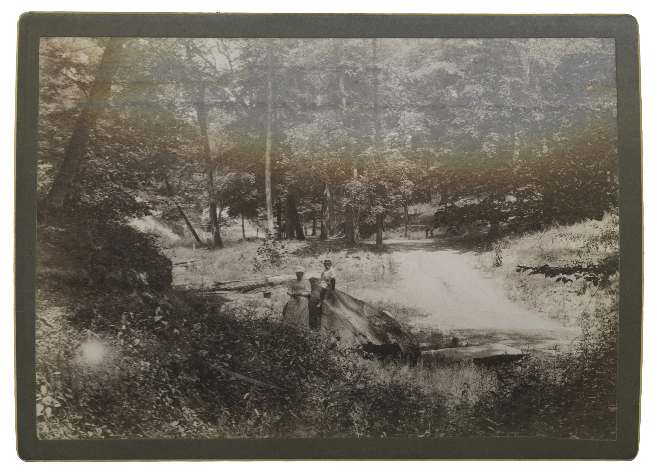 4250-10.jpg