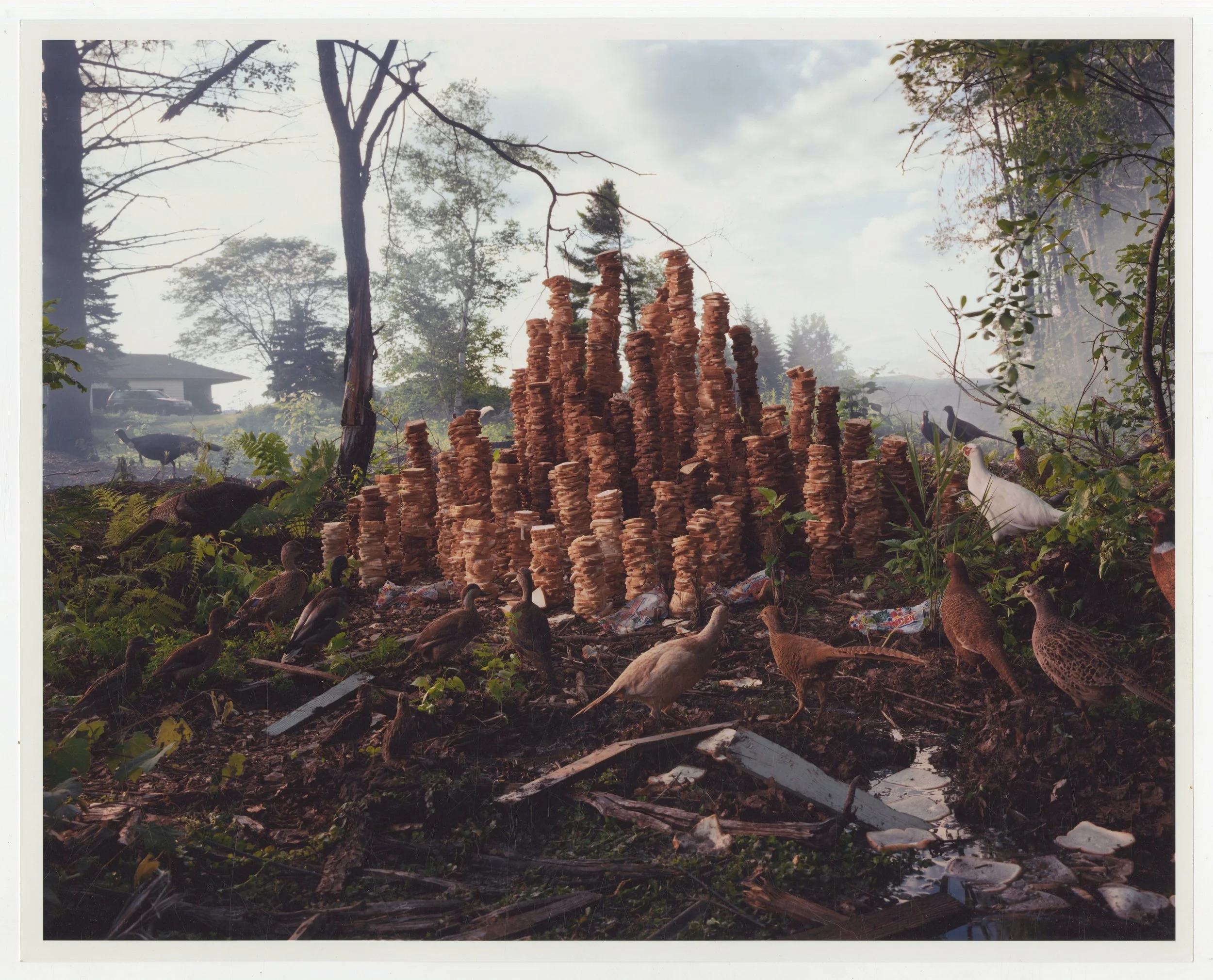 CREWDSON-7.jpg