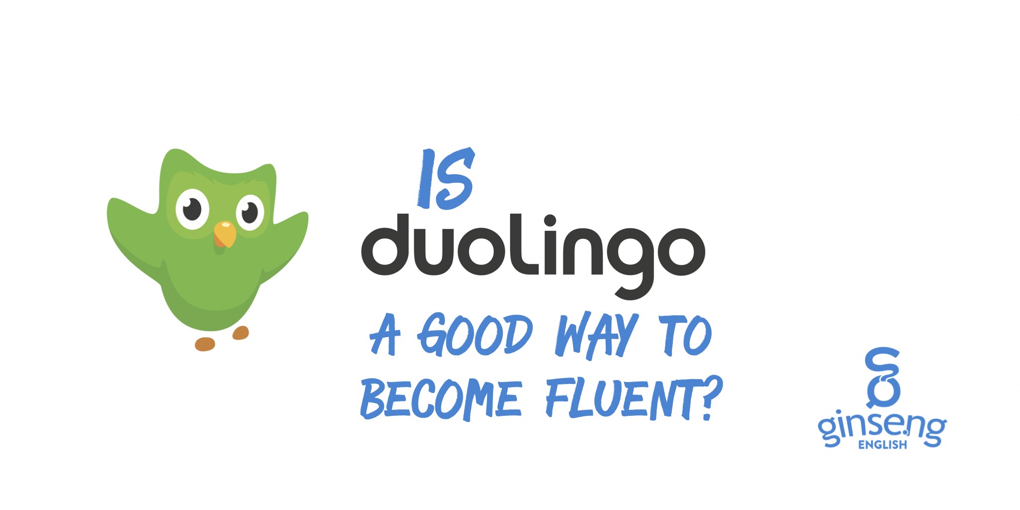 Lily duolingo r34. Мягкая игрушка Duolingo.