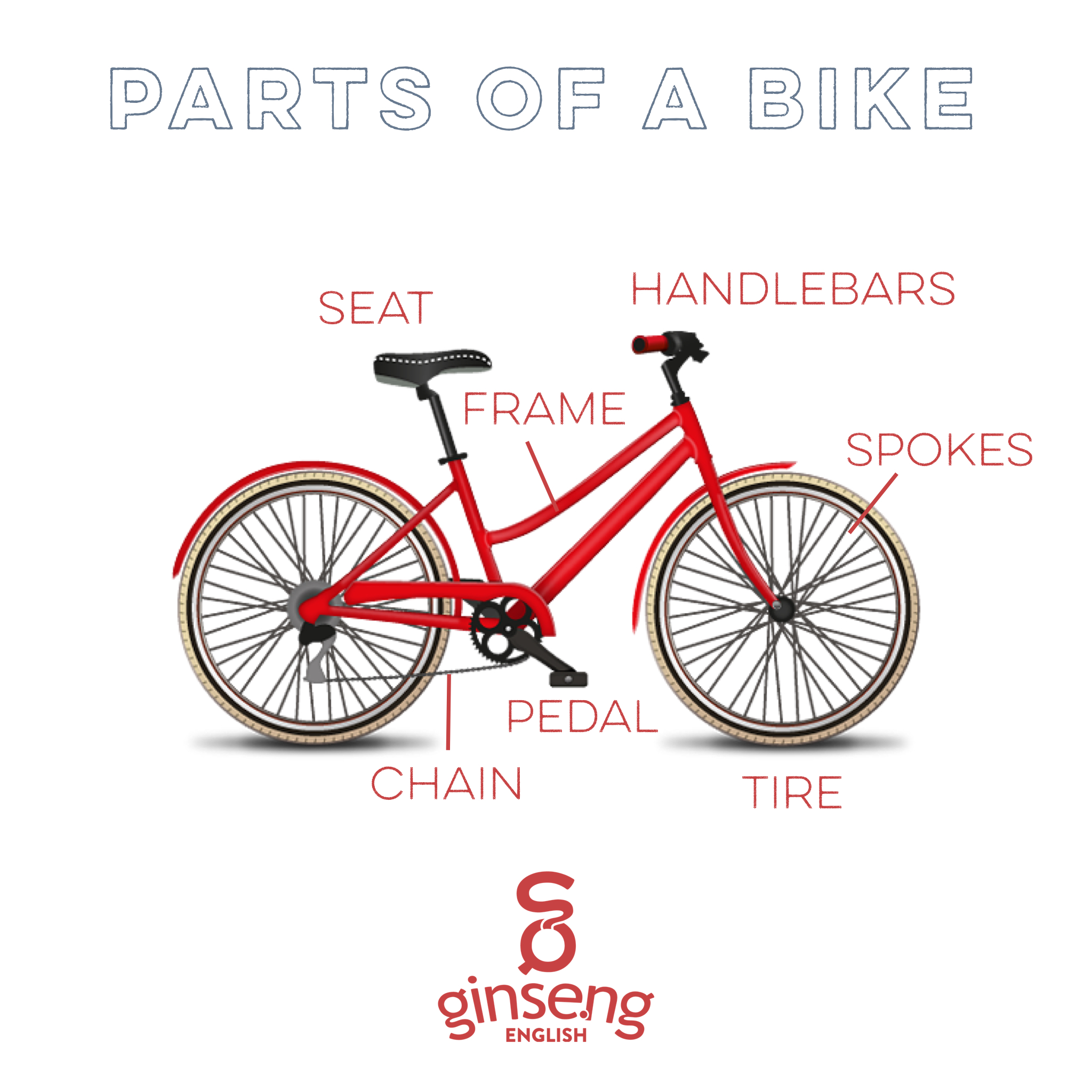 Велосипед по английскому. Bicycle Parts in English. Part of Bicycle. Bike по-английски.
