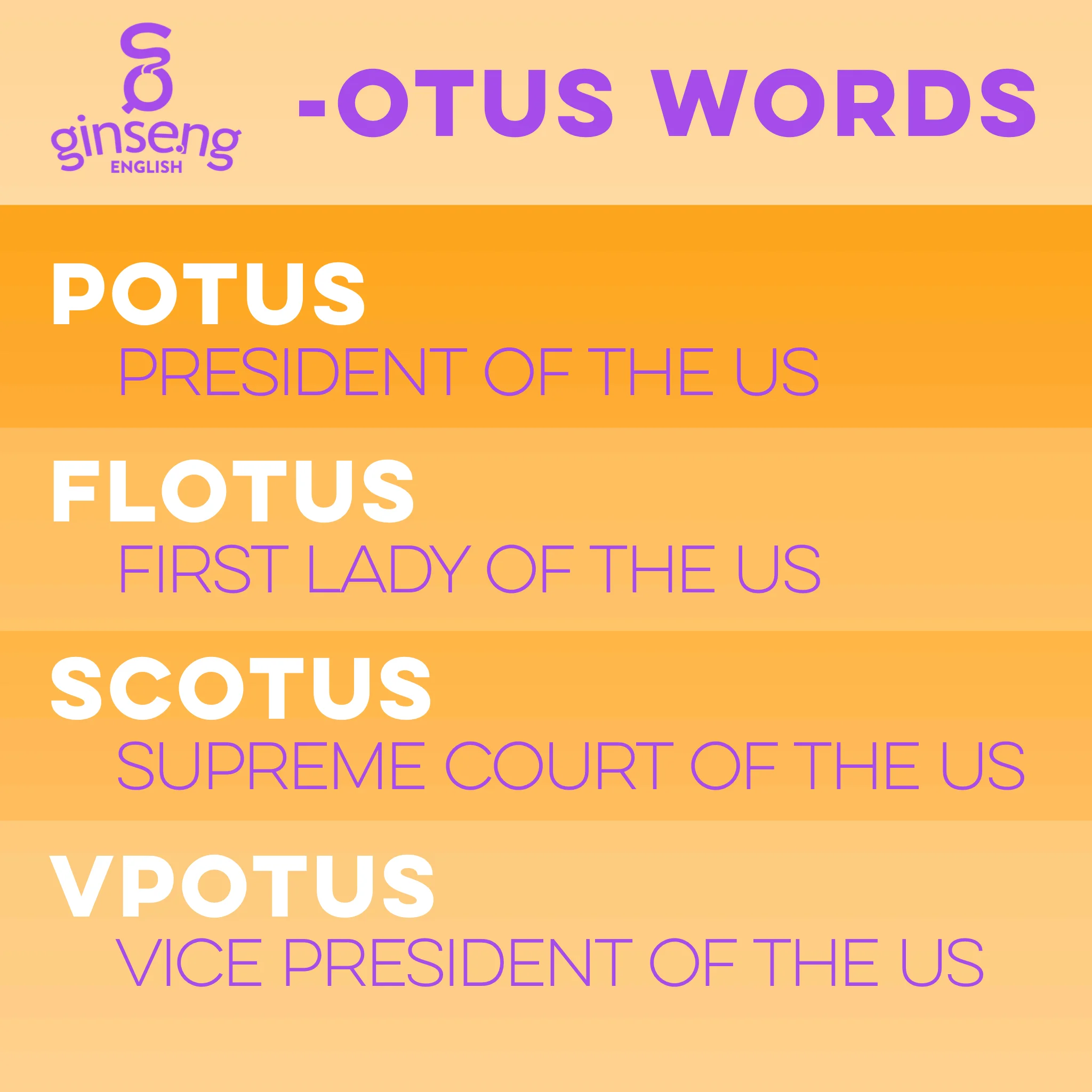 OTUS.jpeg