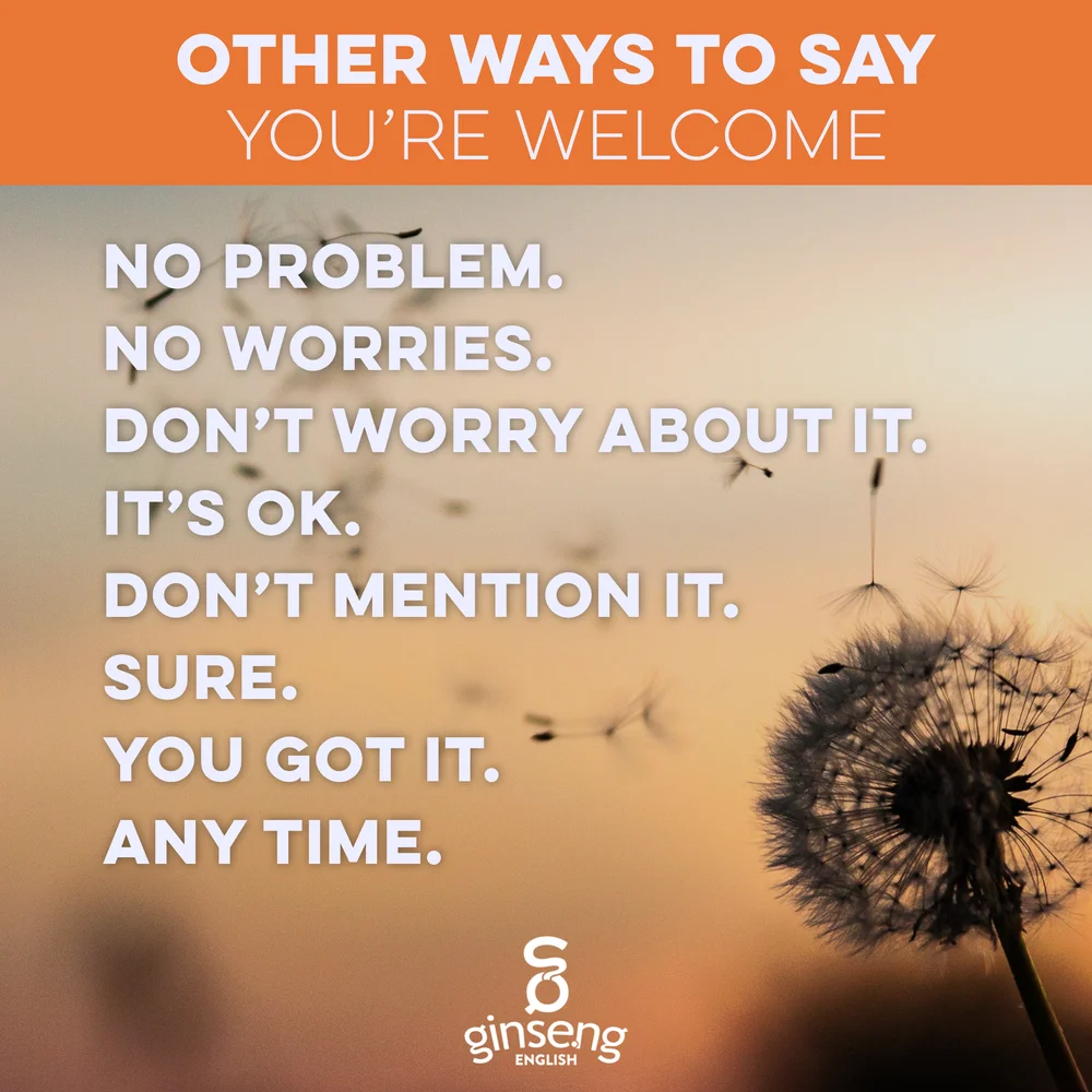 Ways To Say Thank You And You Are Welcome English Study Here