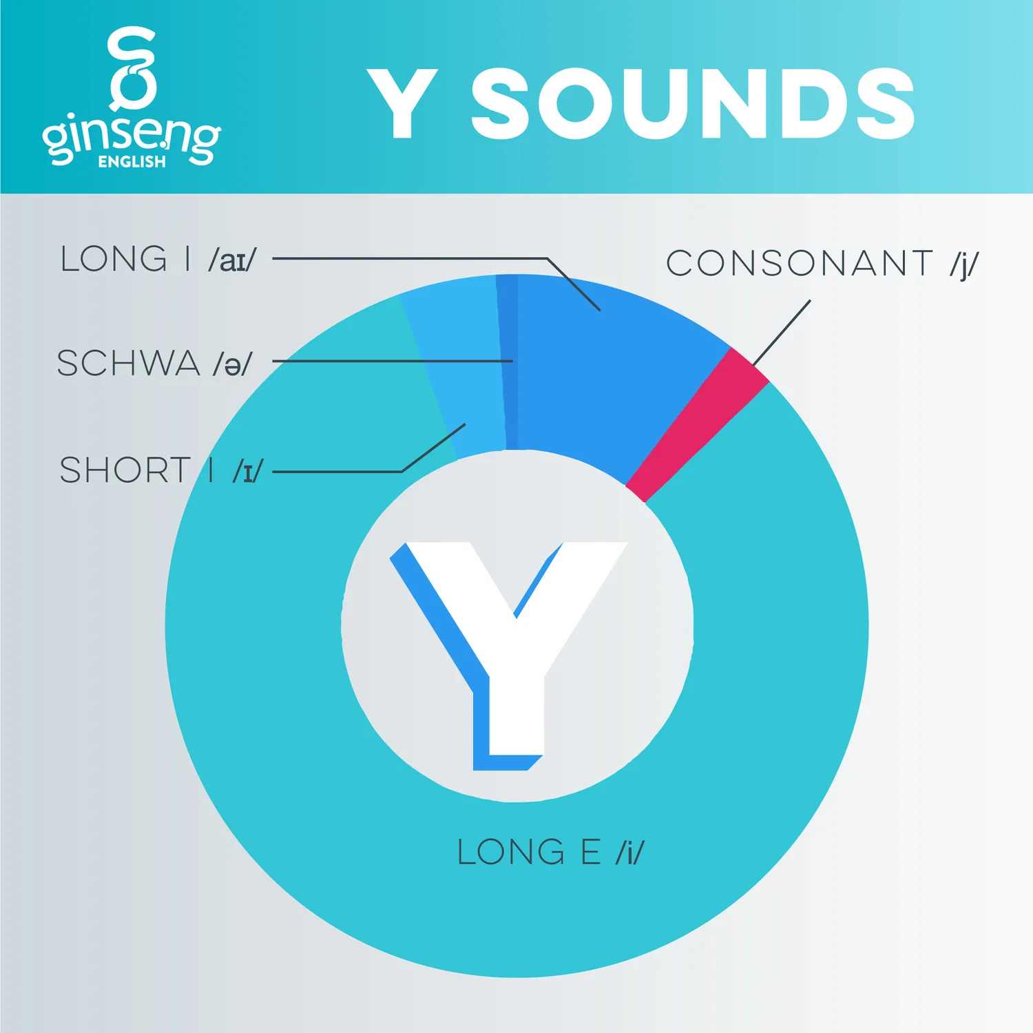 And Sometimes Y Ginseng English Learn English