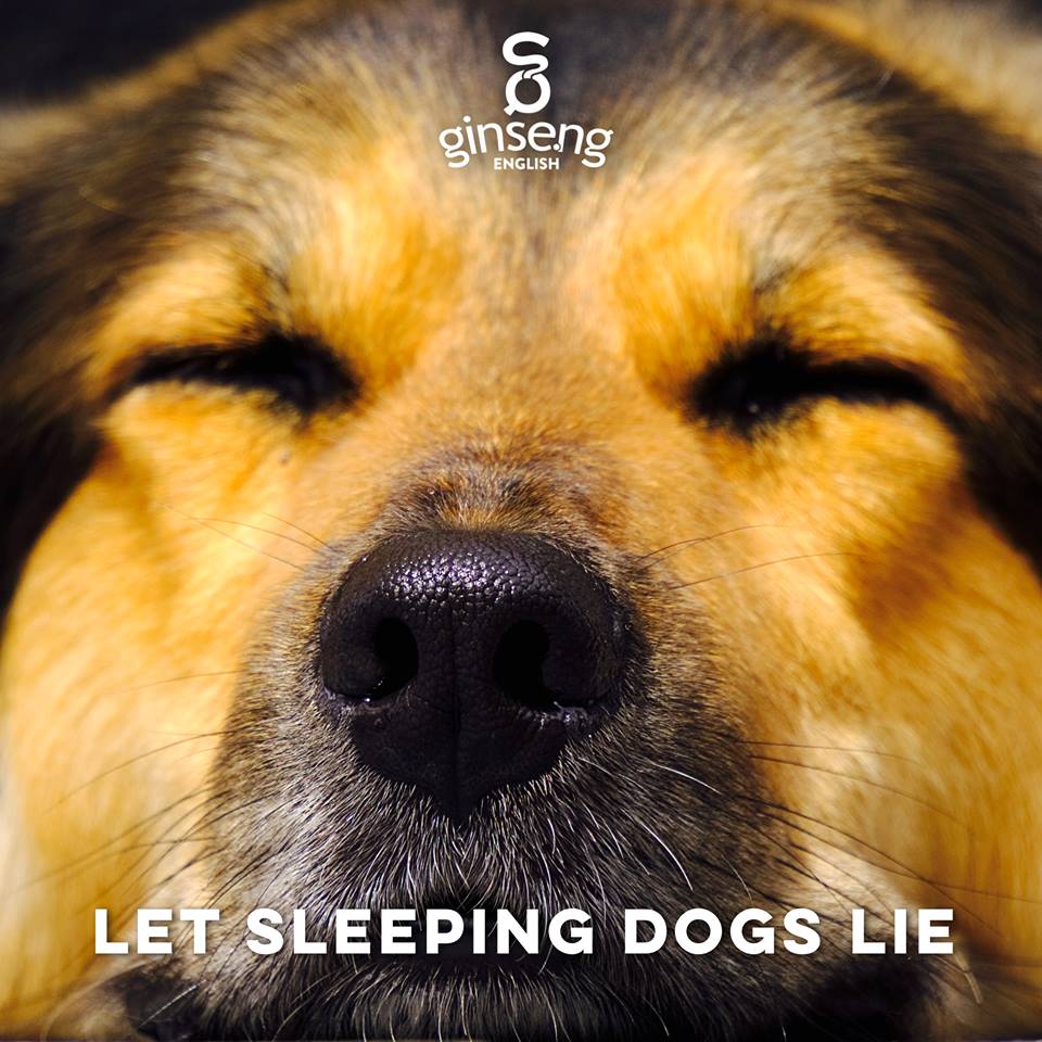 O que significa let sleeping dogs lie? - Pergunta sobre a Inglês (EUA)