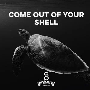 shell.jpeg