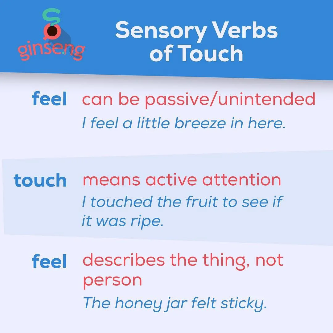 Sensory Verbs of Touch.jpeg