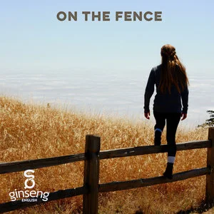 On+the+Fence.jpeg