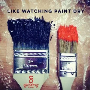 Like+Watching+Paint+Dry+Ginsenglish+Vocabulary+Card.jpeg