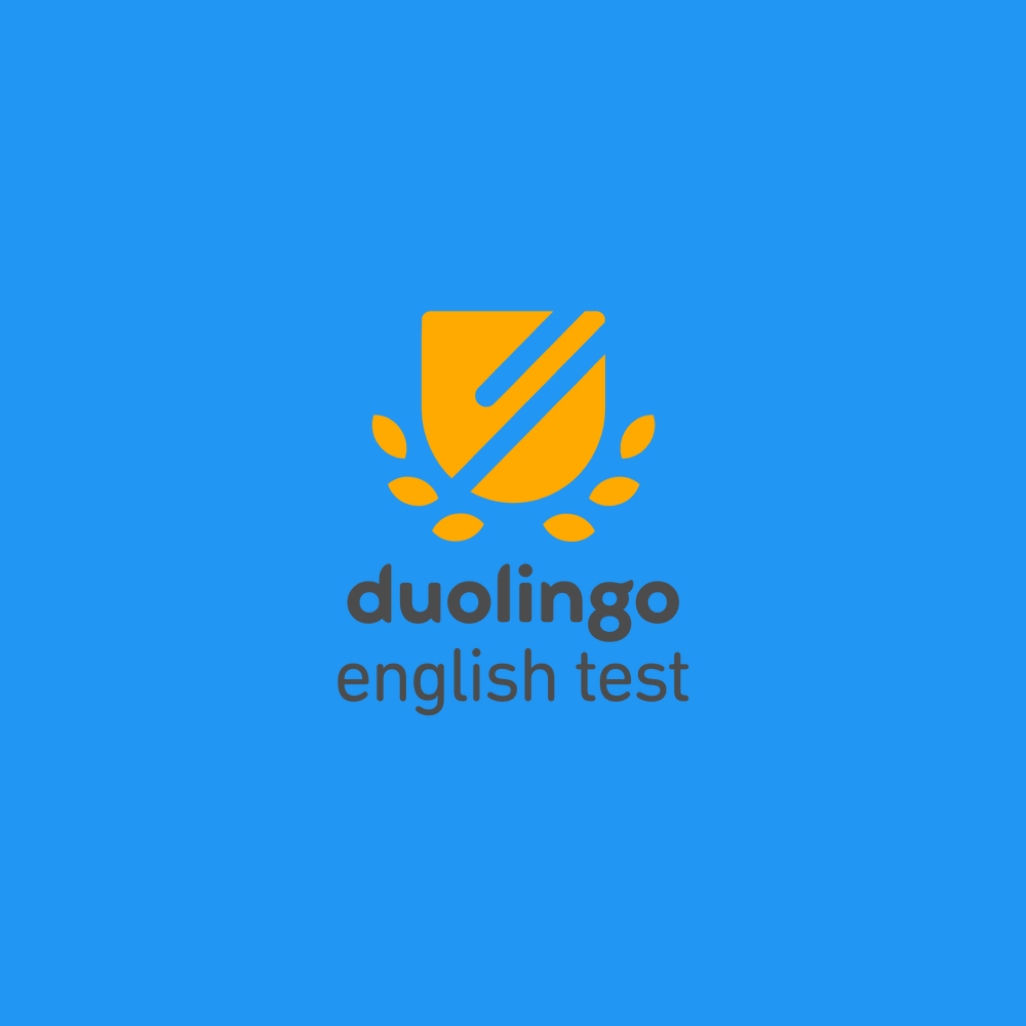 Is There Cheating on Duolingo?