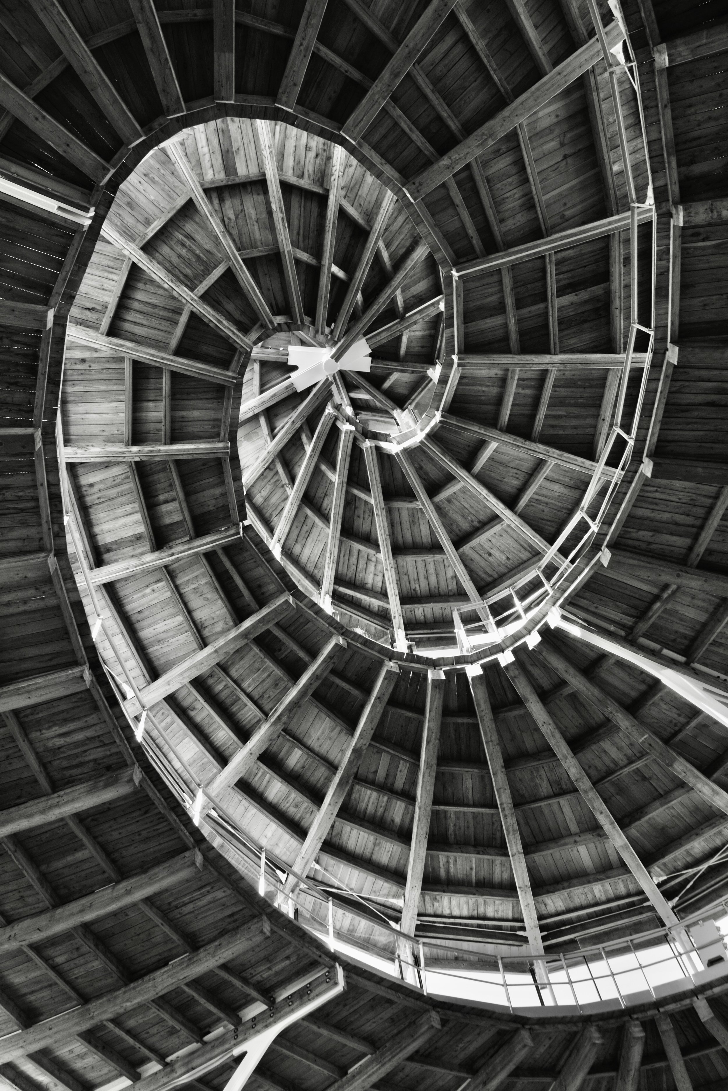 251255B0-5524-4009-B9B3-7B73EC703371_1_201_a.jpeg